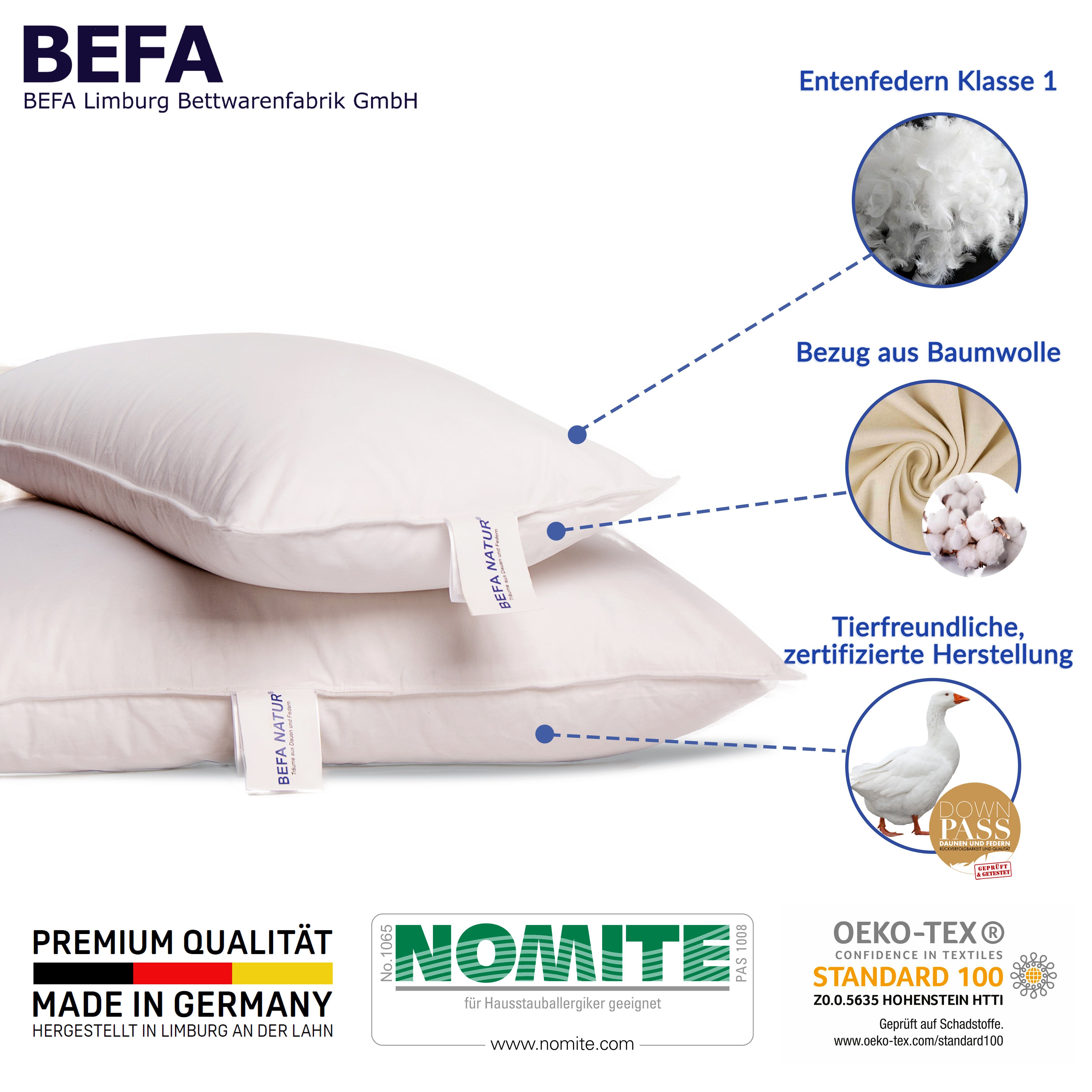 BEFA NATUR Federkopfkissen kuschelig weiches Premium Federkissen 40 x 80 cm, Füllung: 100% Entenfedern, Bezug: Baumwolle, Seitenschläfer, Rückenschläfer, Bauchschläfer, Spar-Set, 1 tlg., Made in Germany - hochwertige Verarbeitung - Allergiker geeignet