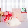 Little Rabbit Pat Lamp Drei Helligkeitsstufen + 30-Minuten-Timer + rosa handgefertigte Verpackung