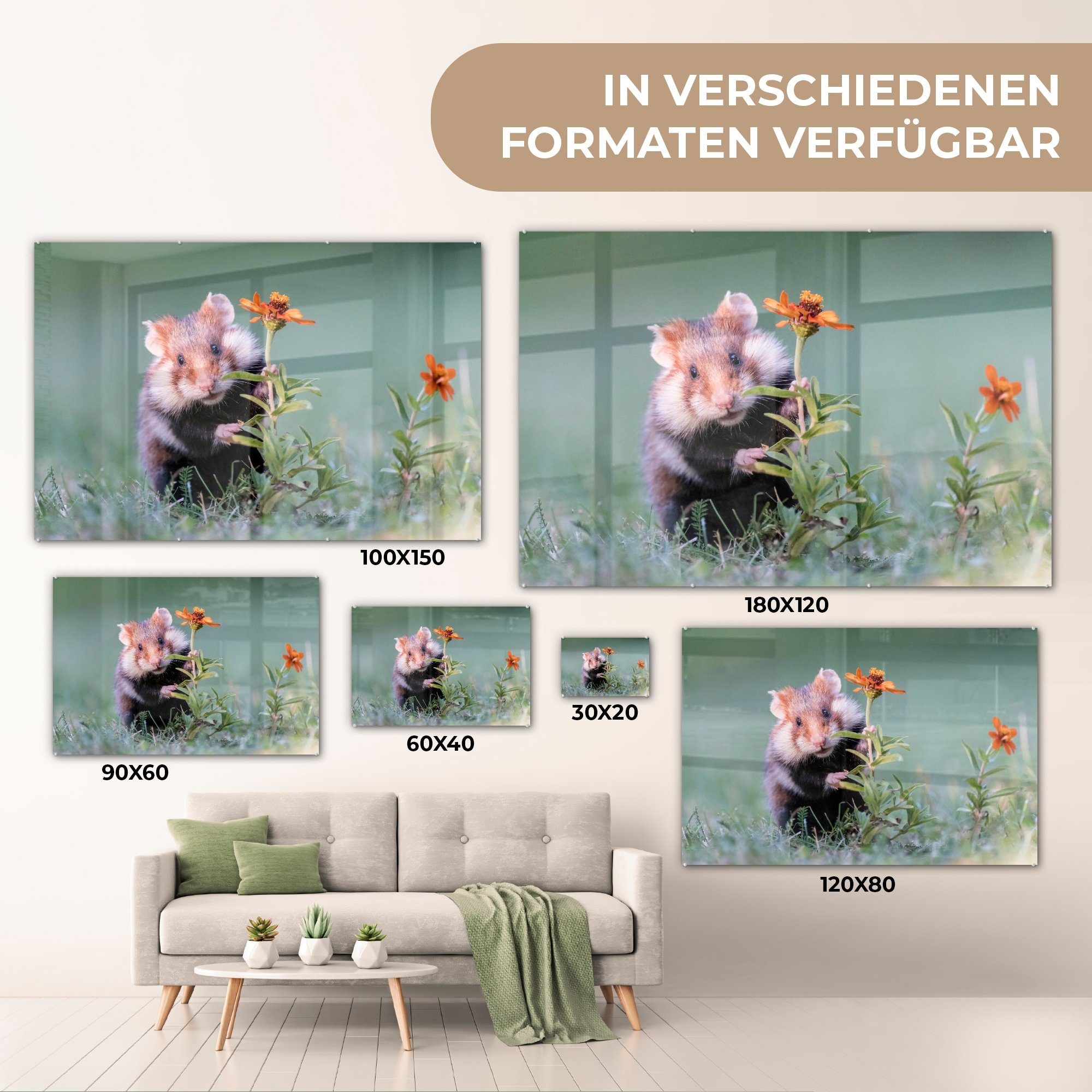 Schlafzimmer sich Blume, Wohnzimmer Acrylglasbild (1 & St), versteckt Acrylglasbilder einer hinter MuchoWow Hamster