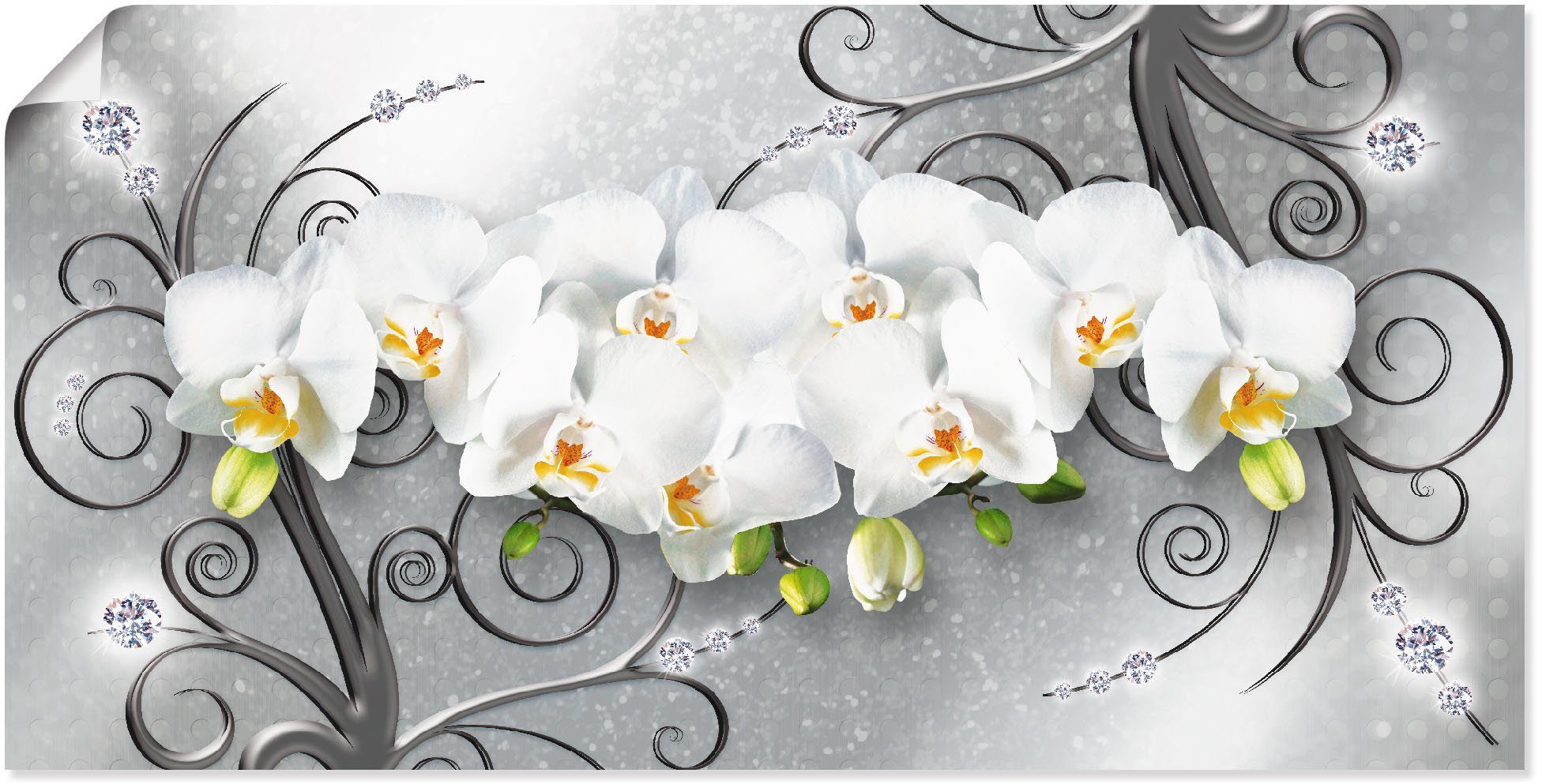 Artland Wandbild weiße Orchideen auf Ornamenten, günstig online kaufen