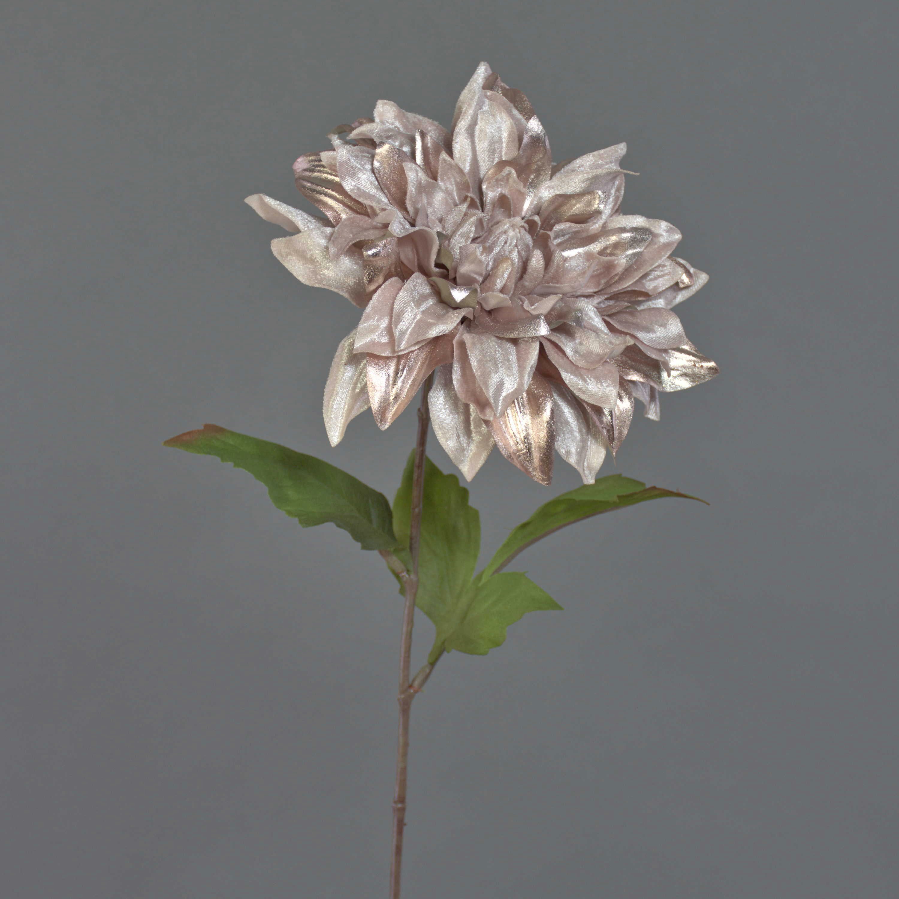 Kunstblume Seidenblume Dahlie MINBU, beige-rosa, 60cm, Ø18cm Dahlie, artplants, Höhe 60.0 cm