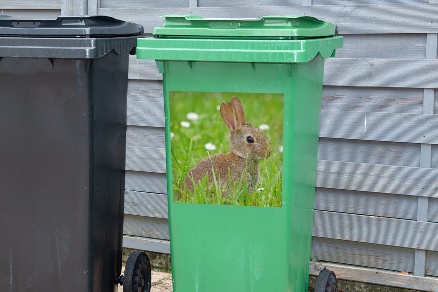 - Abfalbehälter Kaninchen (1 Gras - Wandsticker MuchoWow Mülltonne, Container, St), Blumen Mülleimer-aufkleber, Sticker,