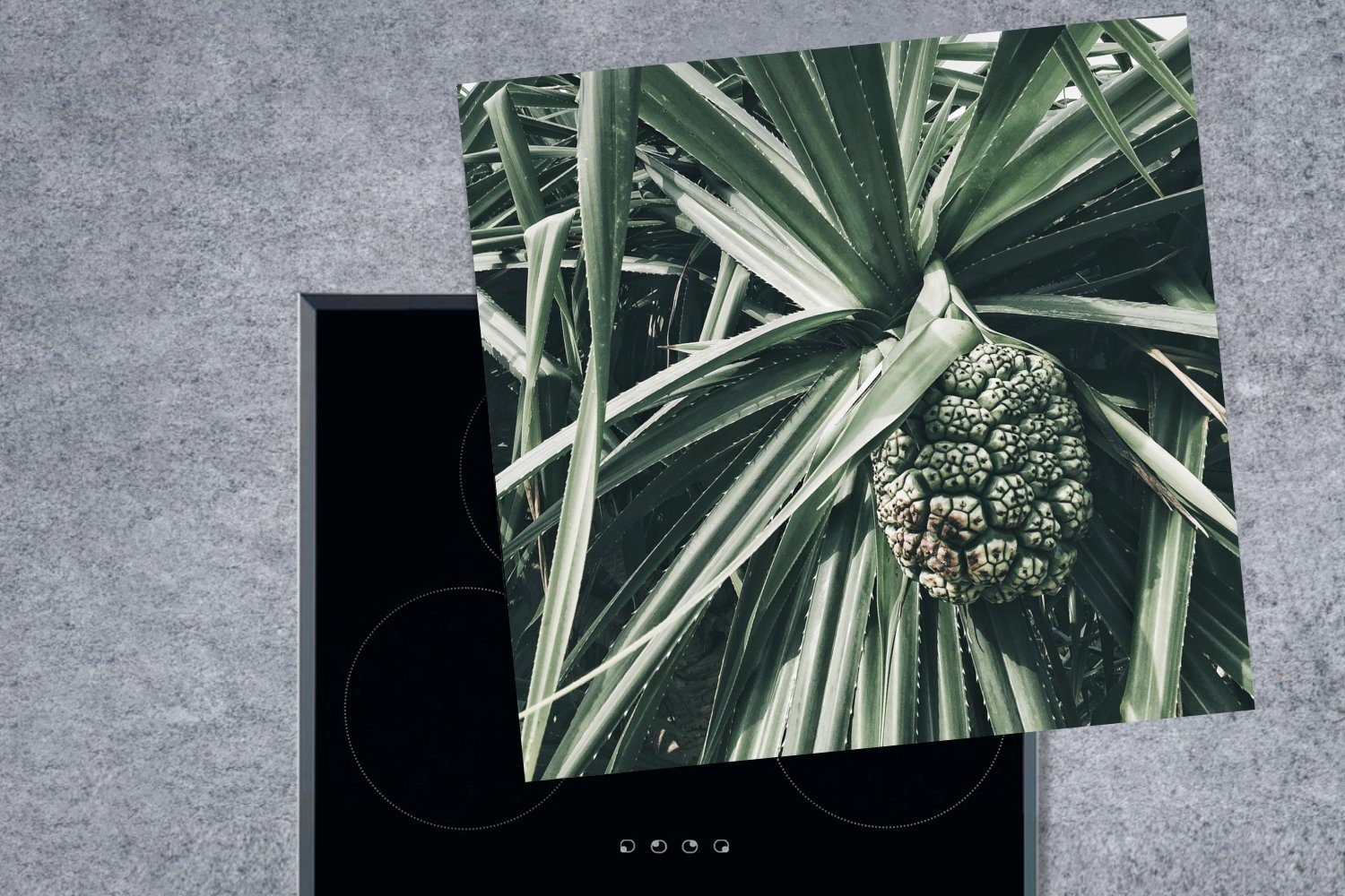 Arbeitsplatte Grün, cm, küche (1 78x78 - für Herdblende-/Abdeckplatte Vinyl, Tropisch Kaktus tlg), - Ceranfeldabdeckung, MuchoWow