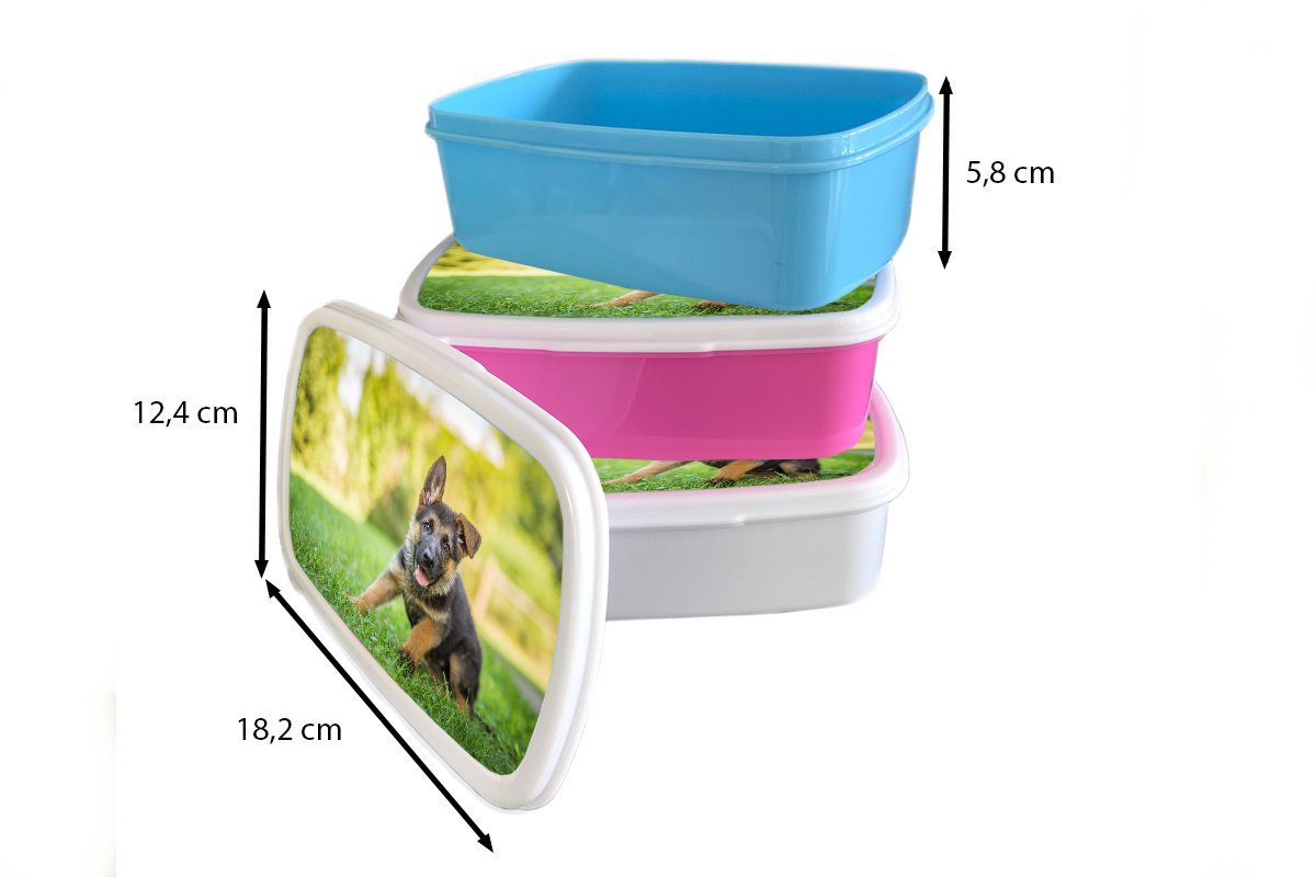 MuchoWow Lunchbox Welpe sitzt Erwachsene, Gras, Mädchen Brotbox weiß im Kinder Kunststoff, und für (2-tlg), für Brotdose, Jungs und