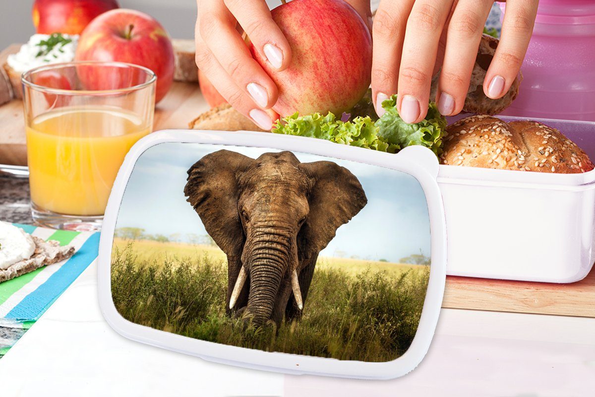 MuchoWow Lunchbox Afrikanischer Elefant und Jungs für (2-tlg), Mädchen und weiß Erwachsene, Brotdose, Kinder Kunststoff, Vorderansicht, für Brotbox