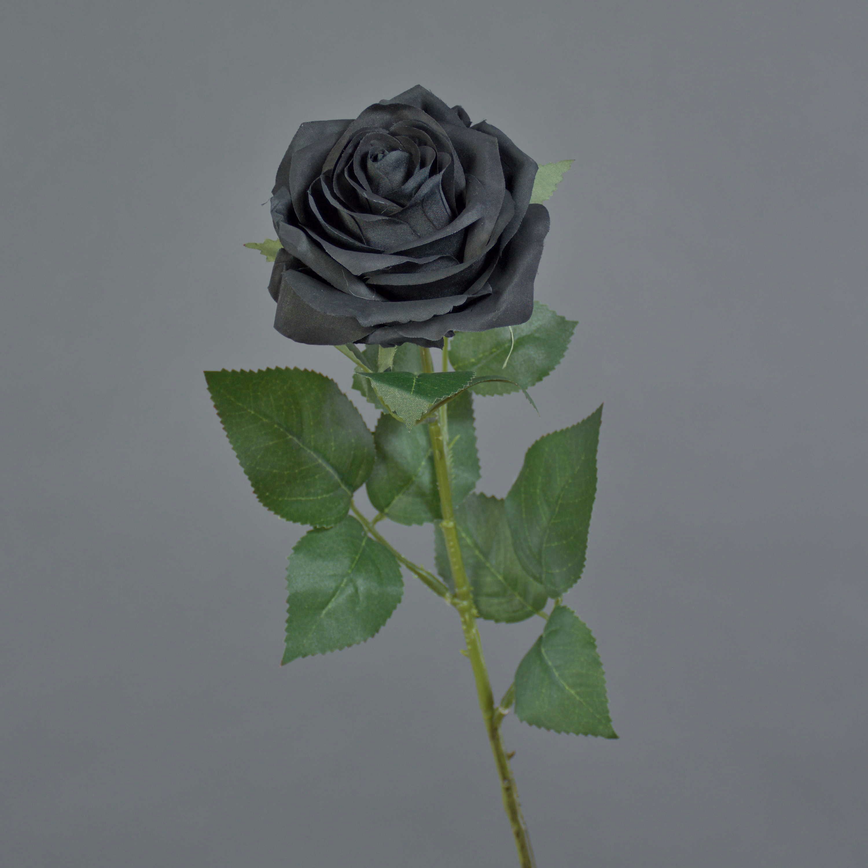 Kunstblume Kunstrose Kailin, schwarz, 65 cm Rose, artplants, Höhe 65.0 cm