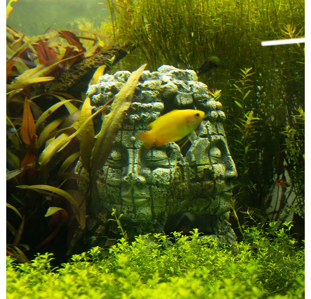 Thumbnail - Nobby Aquariendeko "Ruine mit Gesichtern"