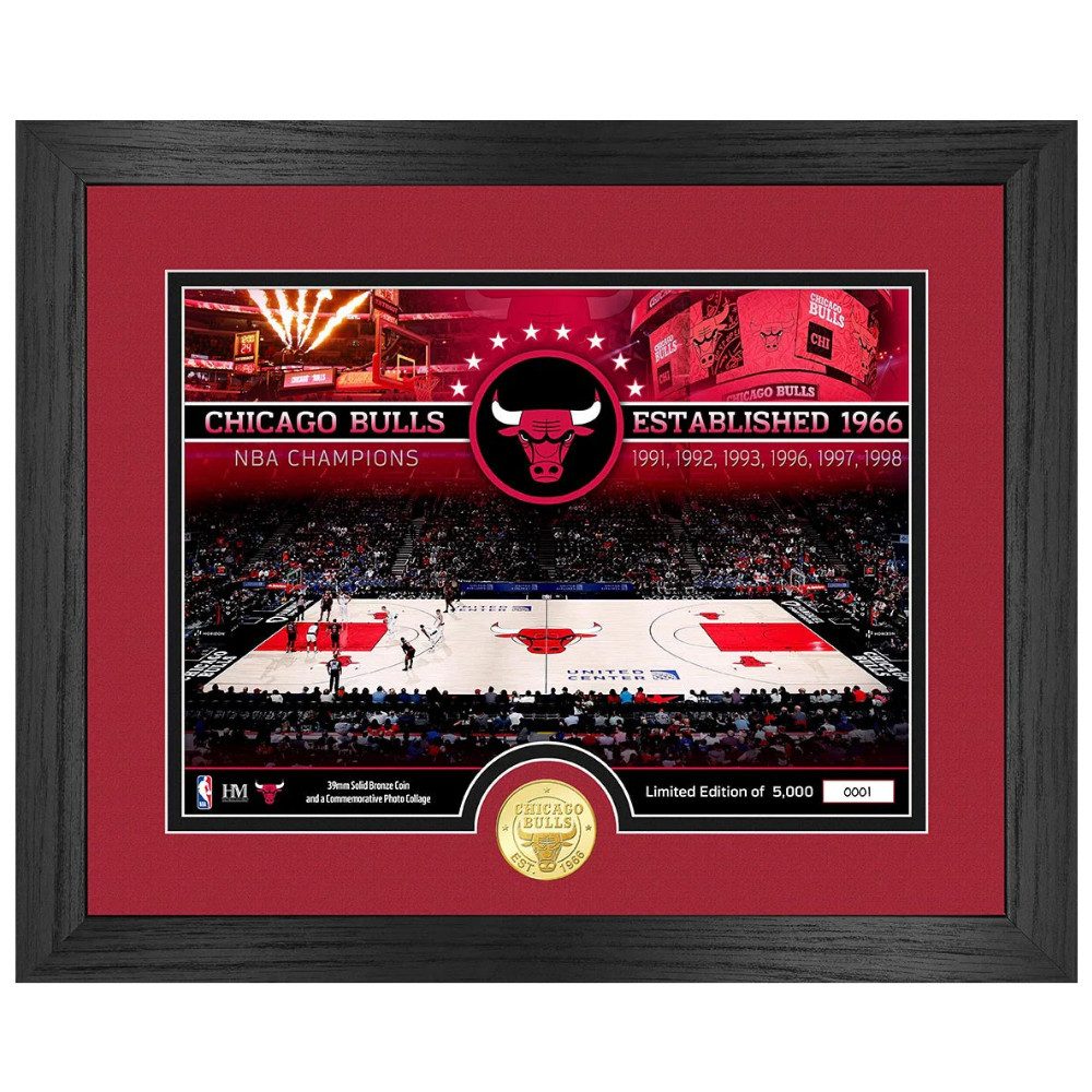 Chicago Bulls Chicago Bulls Bronze Coin Court Photo Mint