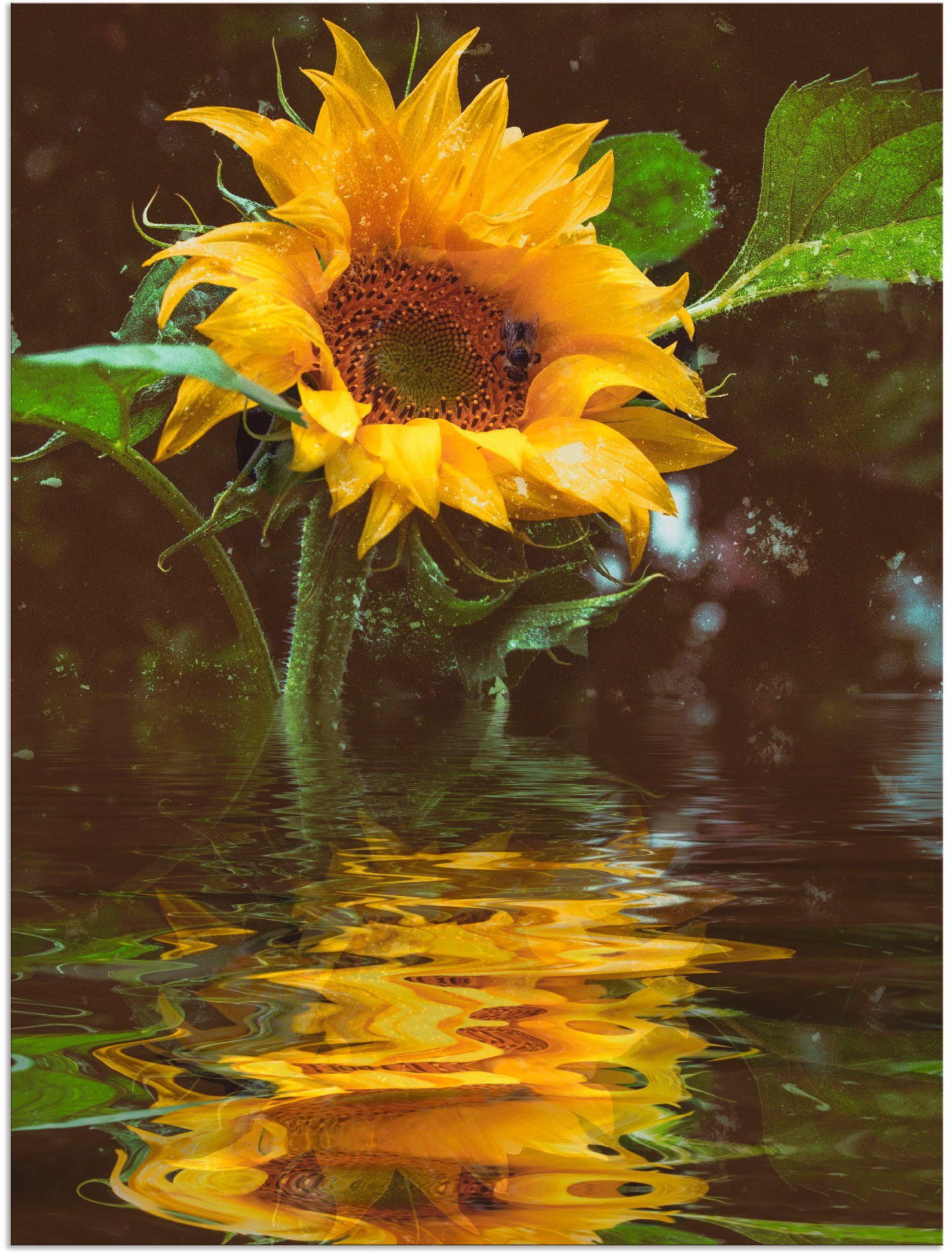 Artland Wandbild Sonnenblume, Blumen (1 St), als Alubild, Outdoorbild, Leinwandbild, Плакат, Wandaufkleber