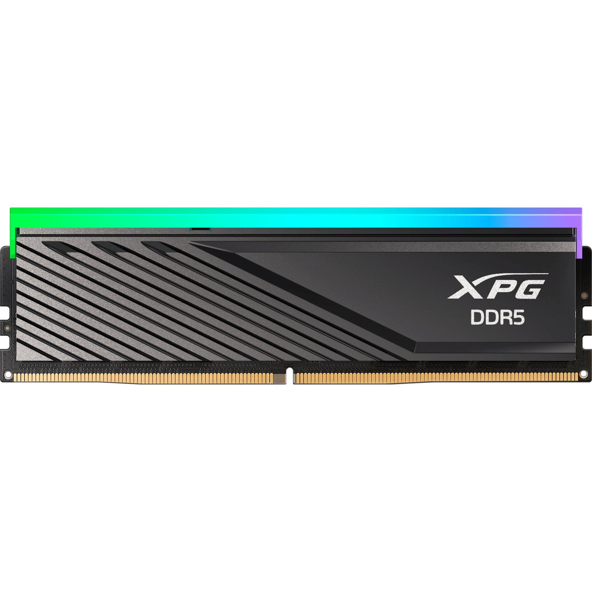 ADATA DIMM 16 GB DDR5-6000 (1x 16 GB), Arbeitsspeicher