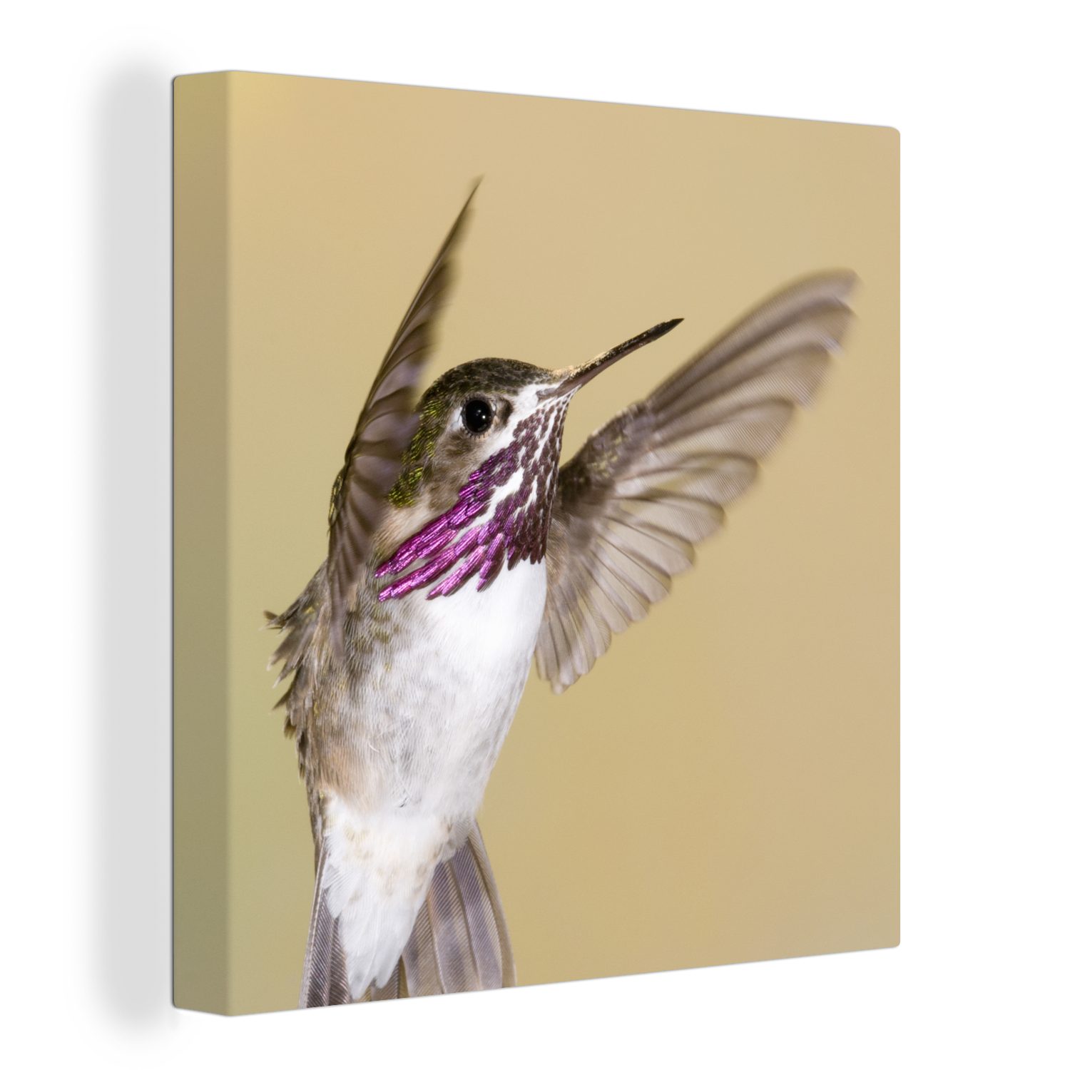 OneMillionCanvasses® Leinwandbild Kolibri - Vogel - Lila, (1 St), Leinwand Bilder für Wohnzimmer Schlafzimmer