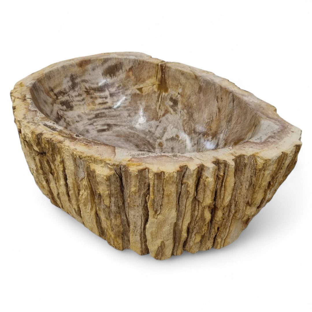 Kinaree Aufsatzwaschbecken Versteinertes Holz Waschbecken #58, Naturstein, Unikat, fossiles Holz