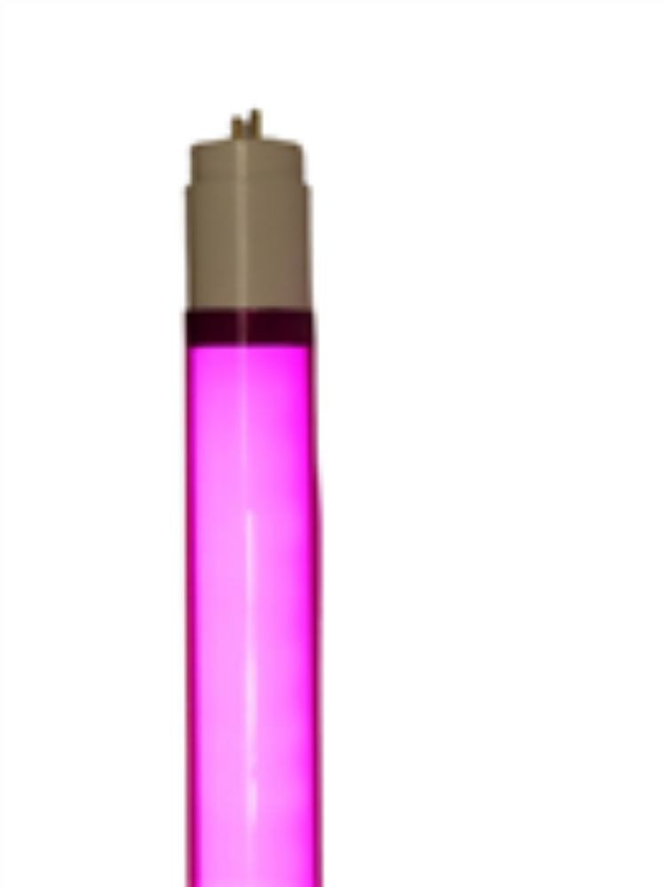 LED Wandleuchte LED Röhre T8 9 Watt 1000 Lumen 0,60m Kunststoff-Röhre Pink
