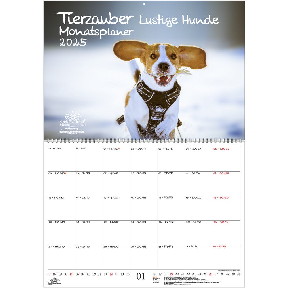 Seelenzauber Wandkalender Tierzauber Lustige Hunde Wand Planer Kalender für 2025 DIN A2 Hund