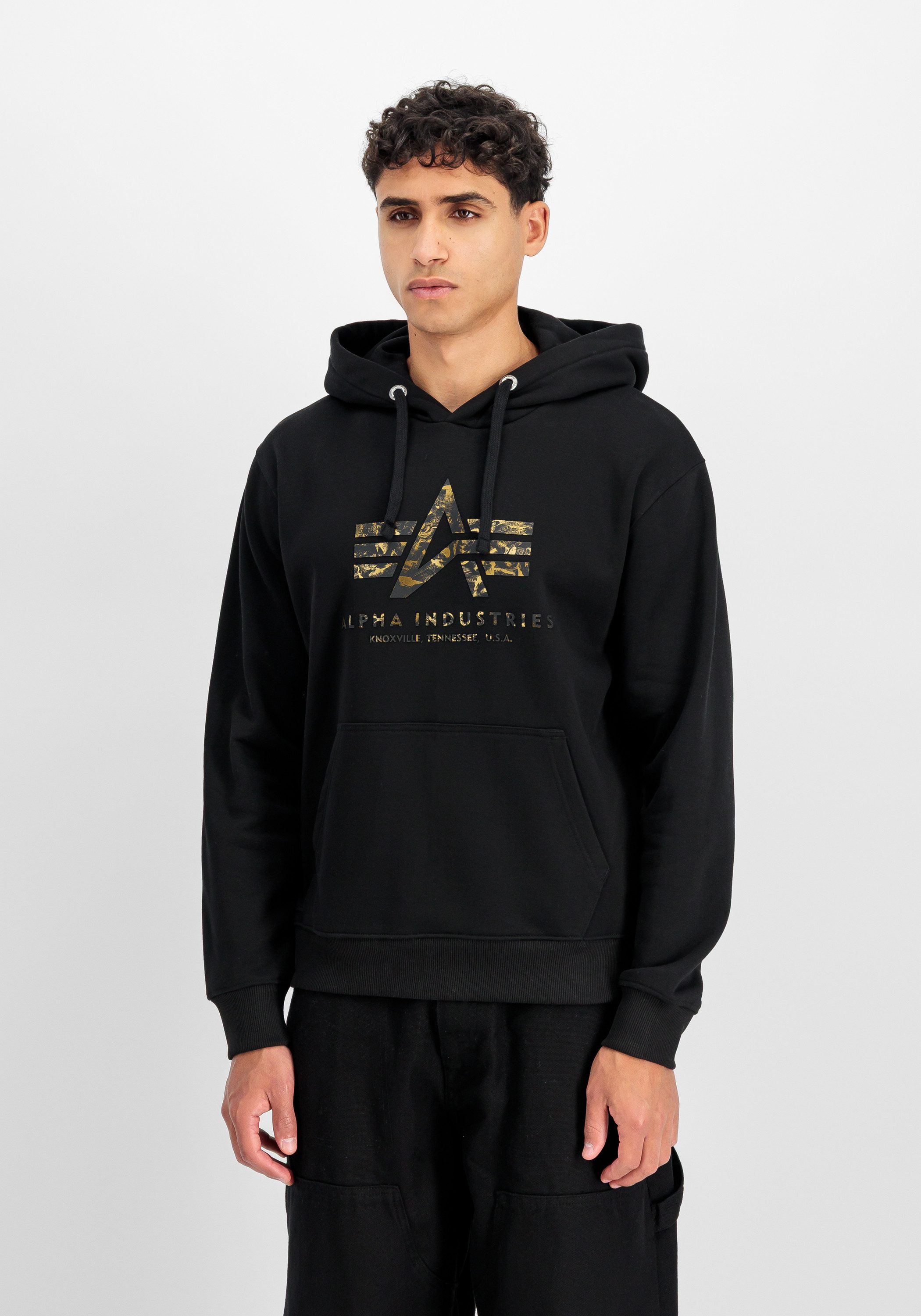Alpha Industries Hoodie Basic Hoodie BL Effect Print