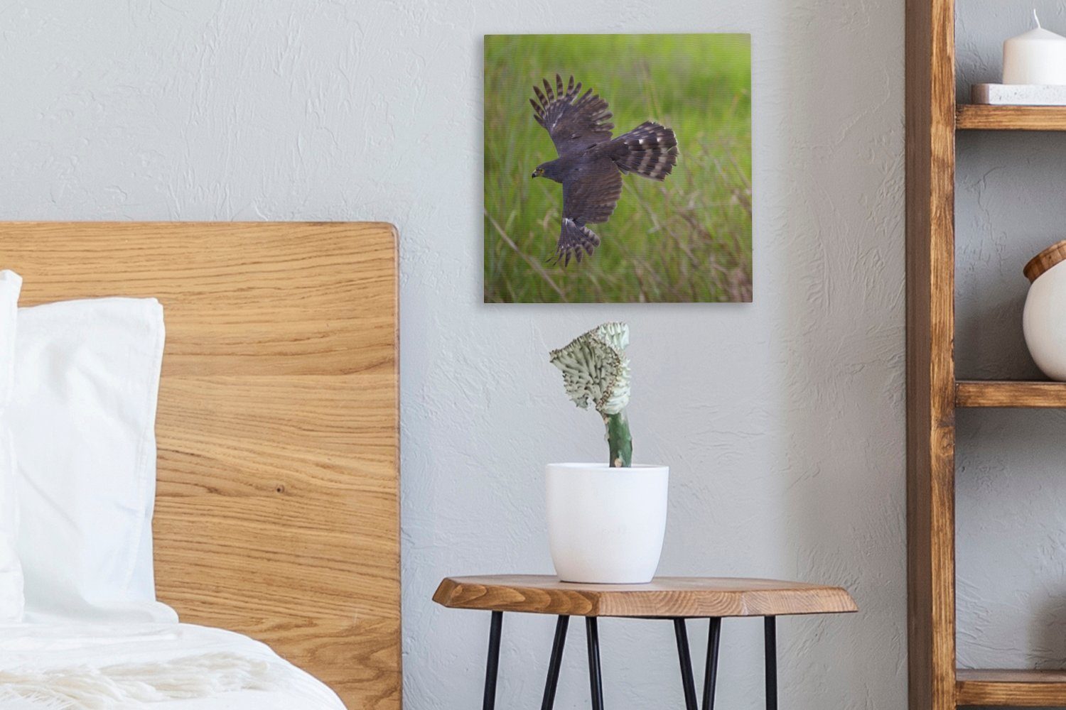 (1 Beute, St), der Jagd für Leinwand Falke Wohnzimmer seiner Ein OneMillionCanvasses® Bilder Leinwandbild auf Schlafzimmer nach