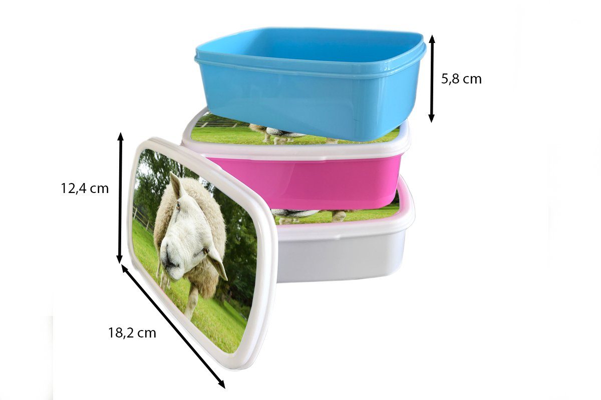Brotdose Lunchbox MuchoWow Brotbox Schaf für Baum, Snackbox, rosa Kinder, Gras - - Kunststoff Erwachsene, Kunststoff, (2-tlg), Mädchen,