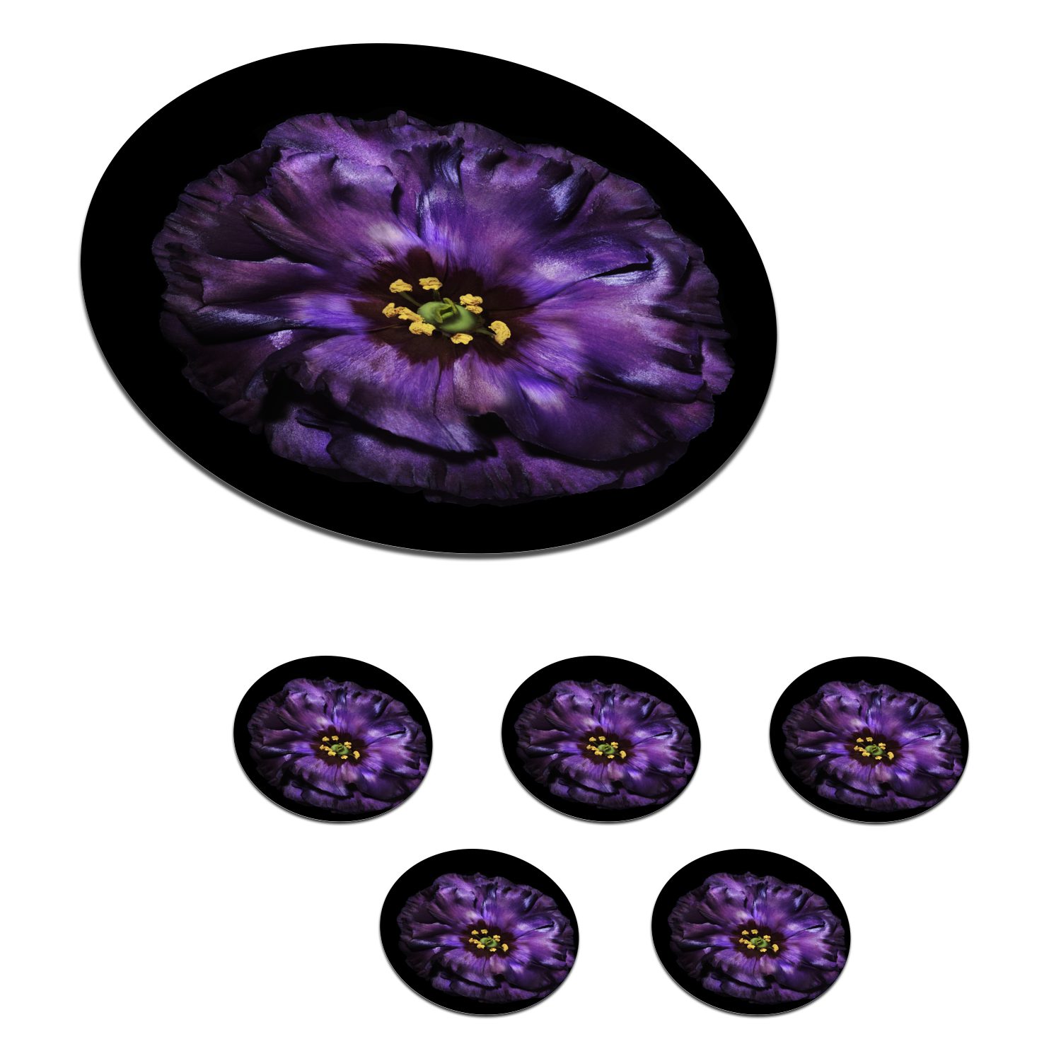 MuchoWow Glasuntersetzer Eine violette Blume vor schwarzem Hintergrund abgebildet, Zubehör für Gläser, 6-tlg., Getränkeuntersetzer, Tassenuntersetzer, Korkuntersetzer, Tasse, Becher