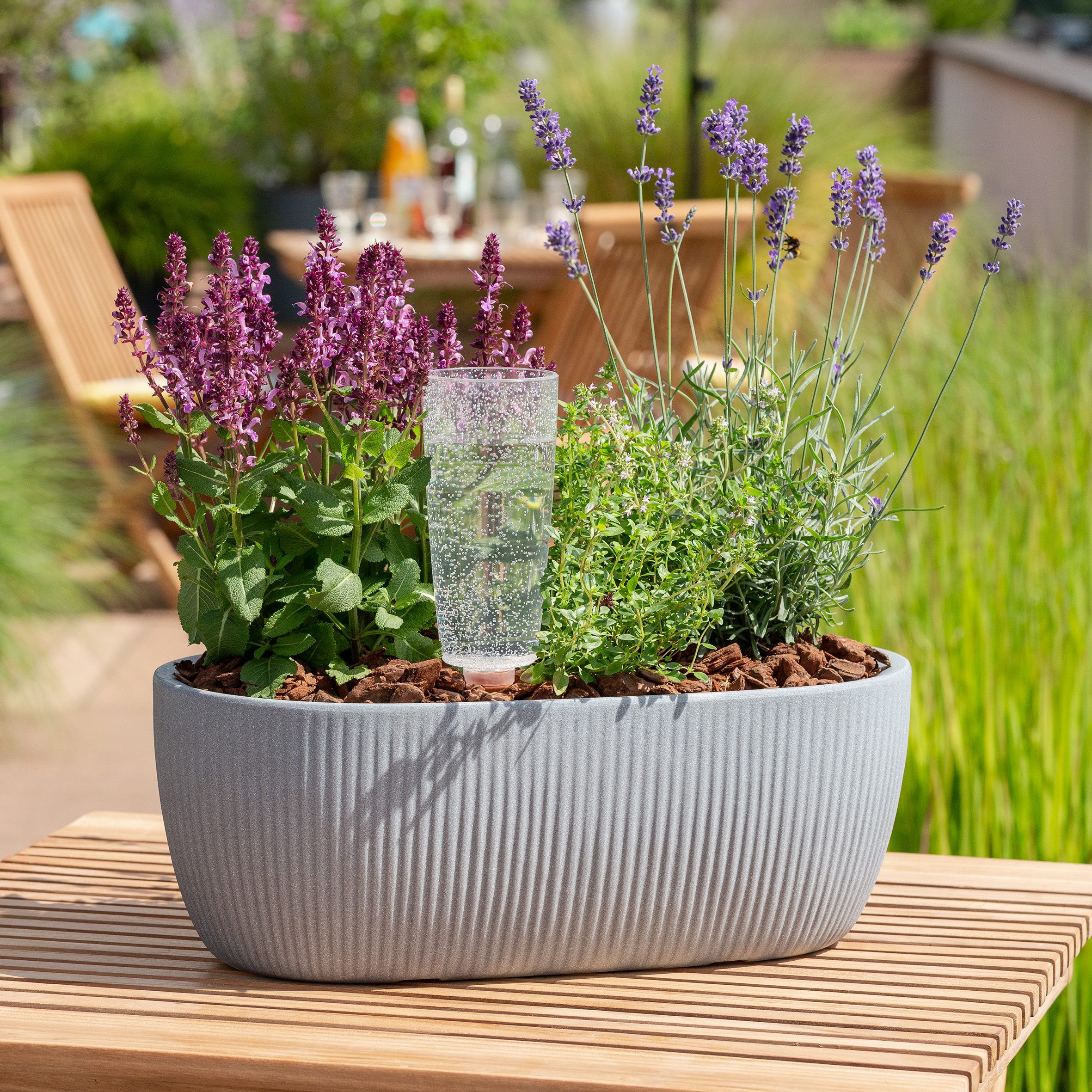 Scheurich Jardiniere 46/274 LINETTO JARDI, Pflanzschale aus Kunststoff, BxTxH: 46x46x17,1 cm