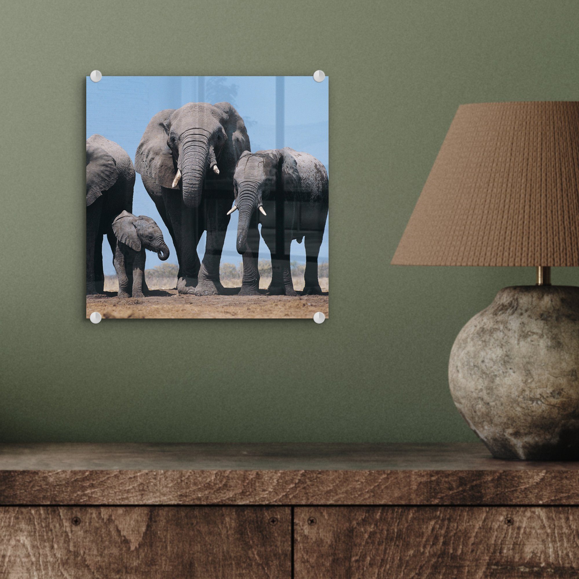 Glas - - (1 - Prärie - MuchoWow Tiere Wandbild - Natur, Glas Glasbilder - Bilder Elefant Foto St), Wanddekoration auf Acrylglasbild auf