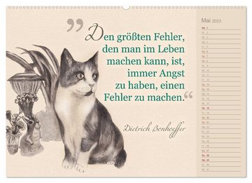 CALVENDO Wandkalender Von Katzen lernen (Premium, hochwertiger DIN A2 Wandkalender 2023, Kunstdruck in Hochglanz)