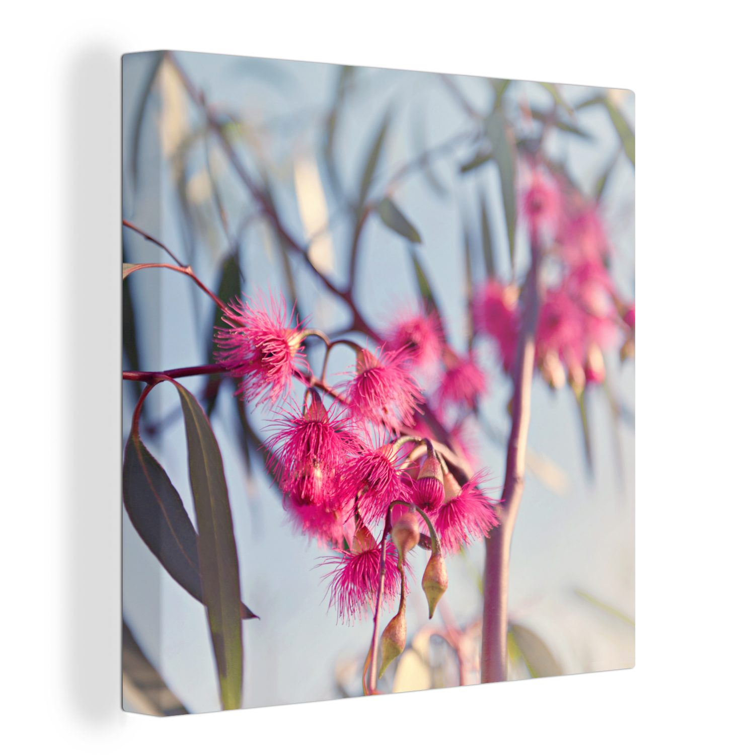 OneMillionCanvasses® Leinwandbild Rosa Eukalyptuszweige in einem Baum, (1 St), Leinwand Bilder für Wohnzimmer Schlafzimmer