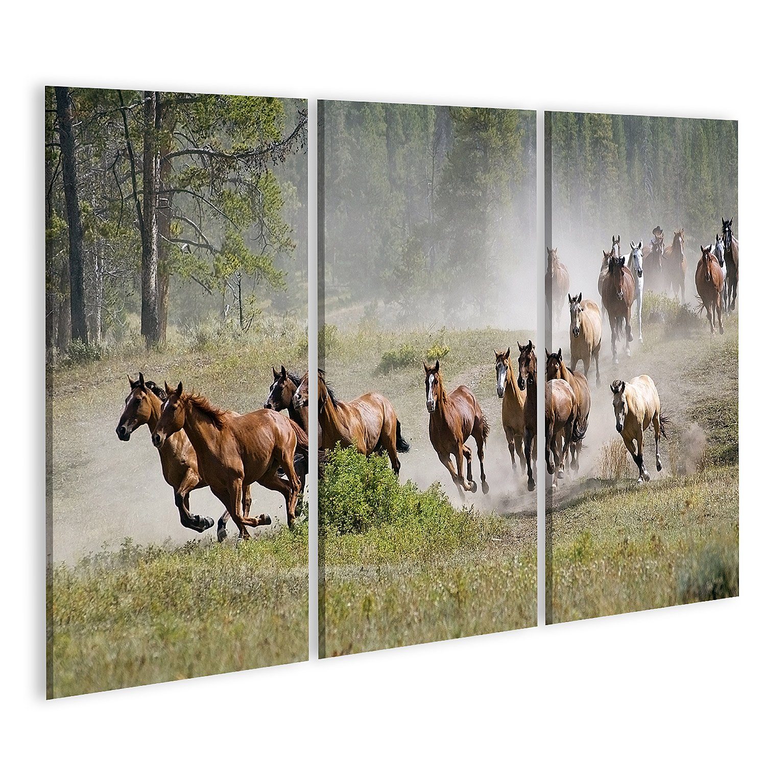 islandburner Leinwandbild »Bild auf Leinwand Galoppierende Pferdeherde  Wandbild Poster Kunstdruck«