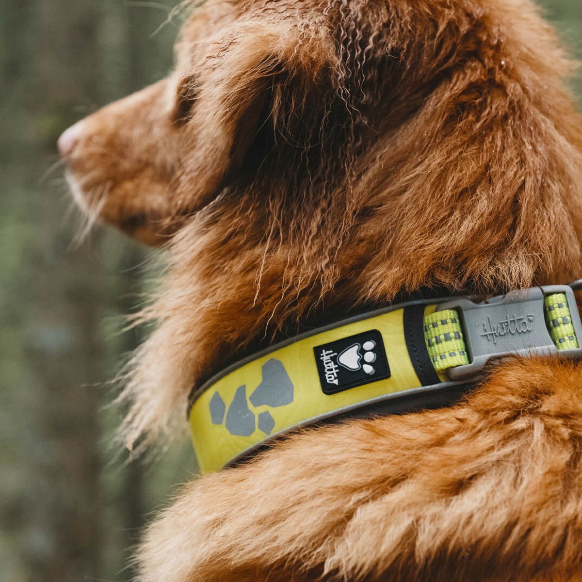 HURTTA Hunde-Halsband Weekend Warrior Halsband neongelb