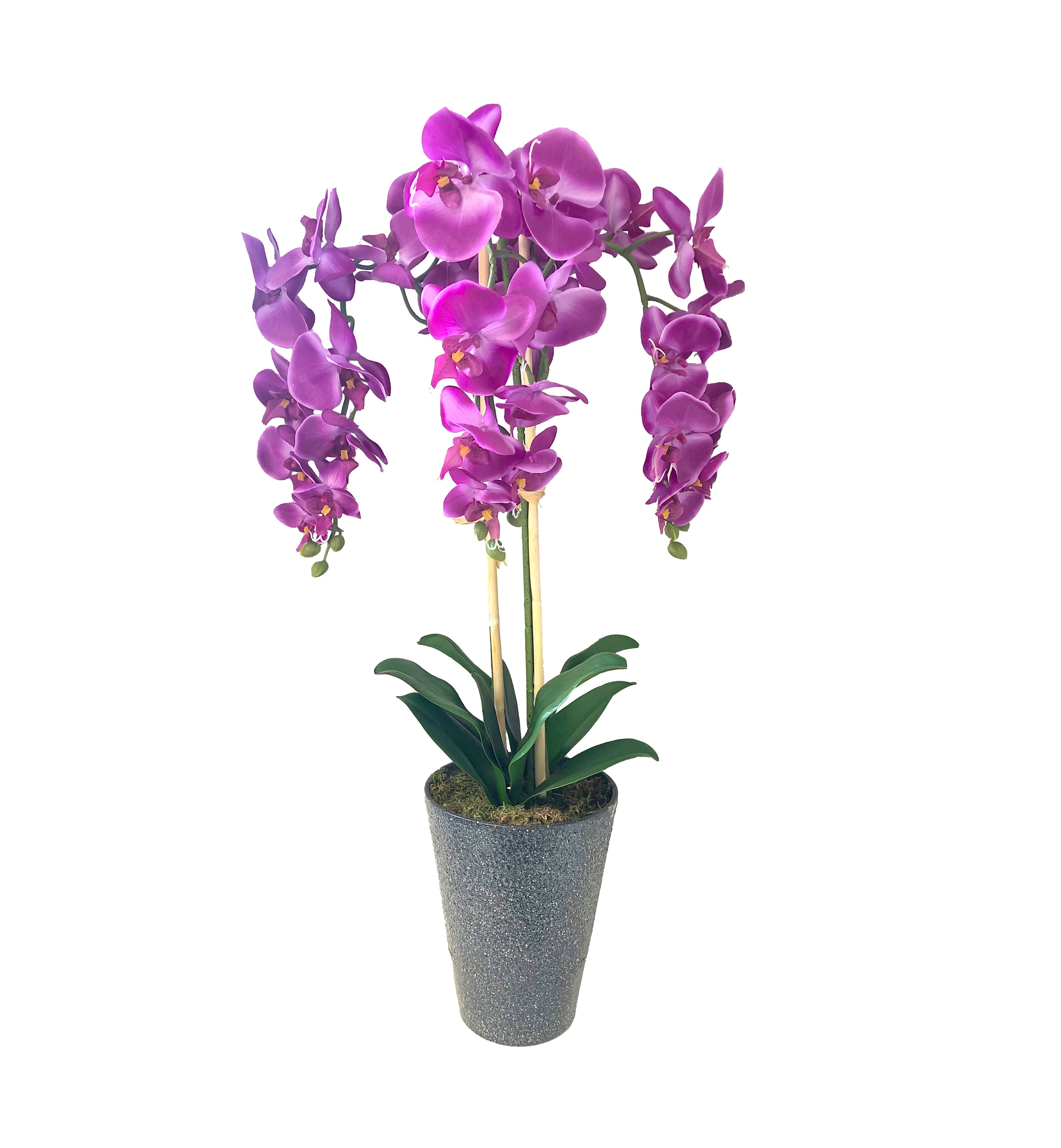 Kunstorchidee Orchidee kunstblumen künstliche pflanzen orchideen  kunstpflanze 767 Orchideen Phalaeonopsis künstlich, PassionMade, Höhe 80  cm, Orchidee Künstlich im Topf wie echt
