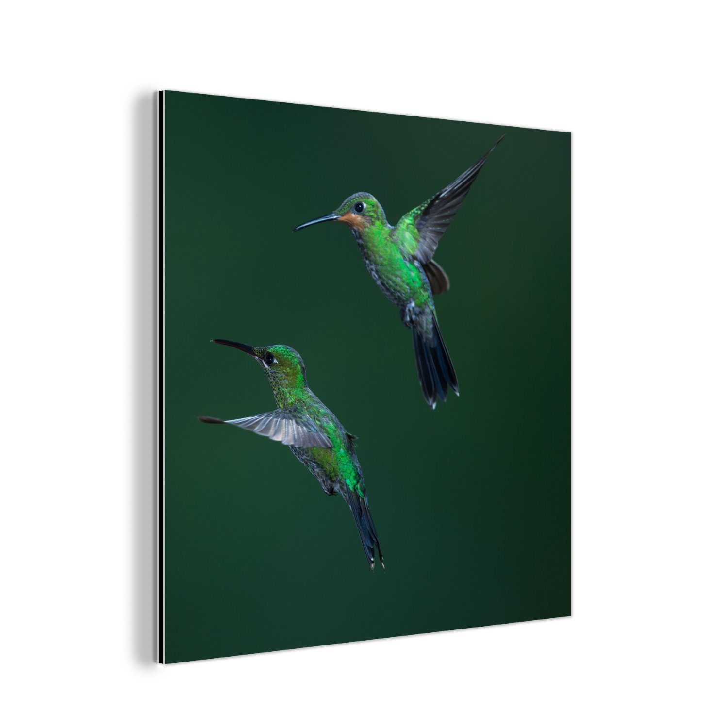 MuchoWow Metallbild Vögel - Kolibri - Grün, (1 St), Alu-Dibond-Druck, Gemälde aus Metall, Aluminium deko