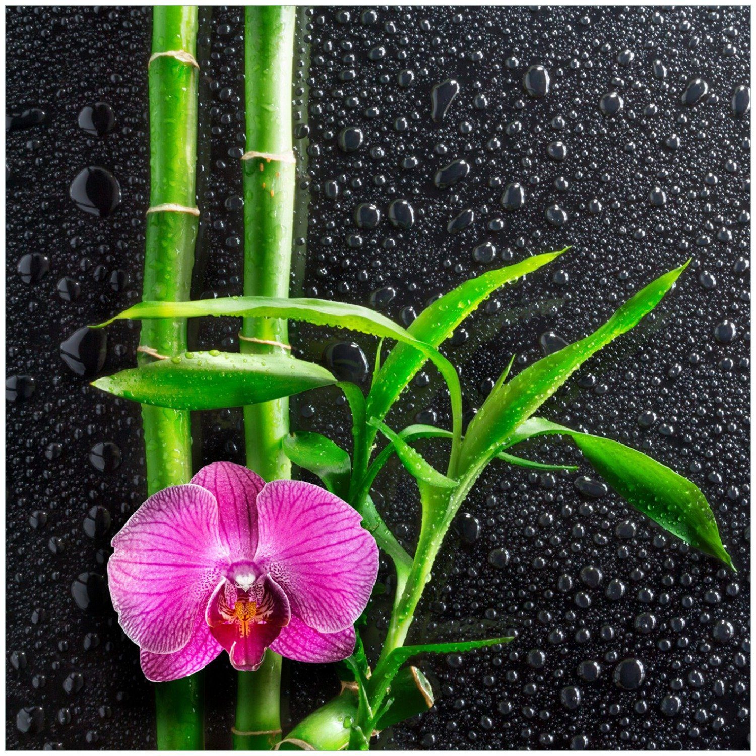Wallario Memoboard Bambus und pinke Orchidee auf schwarzem Glas mit Regentropfen