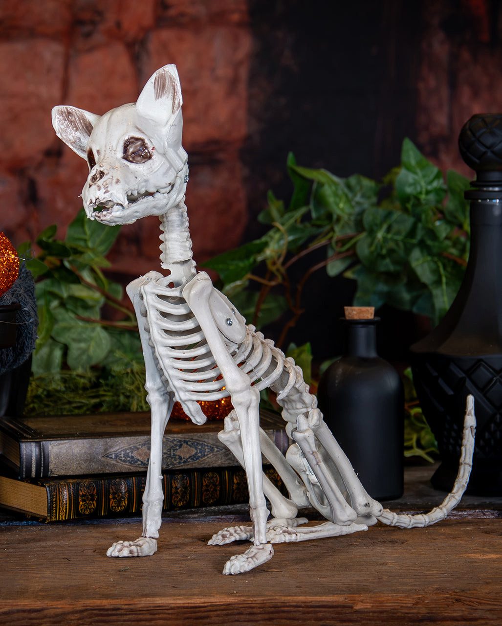 Horror-Shop Dekoobjekt Katzenskelett als Halloween Deko 48cm – Bild 2 von 5