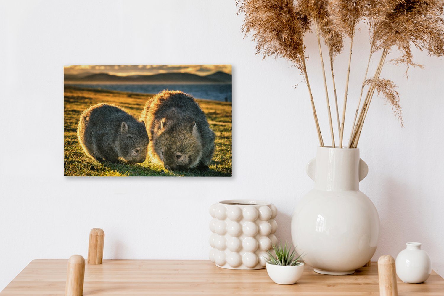 Wombats in Wandbild einem Sonnenuntergang Leinwandbilder, Wanddeko, bei OneMillionCanvasses® St), Leinwandbild (1 Grasfeld, Zwei 30x20 cm Aufhängefertig,