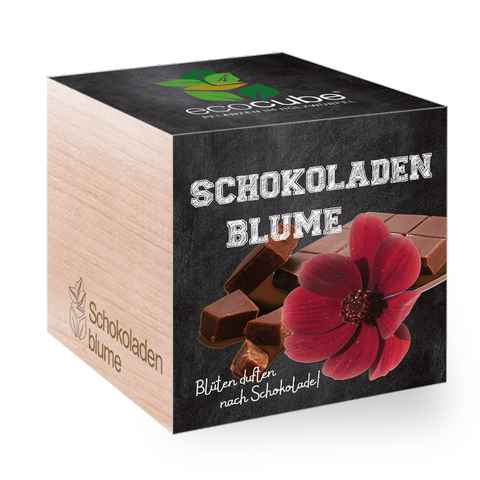 Feel Green Blumenerde Ecocube Schokoladenblume von Feel Green, Nachhaltige Geschenkidee, (1-St)