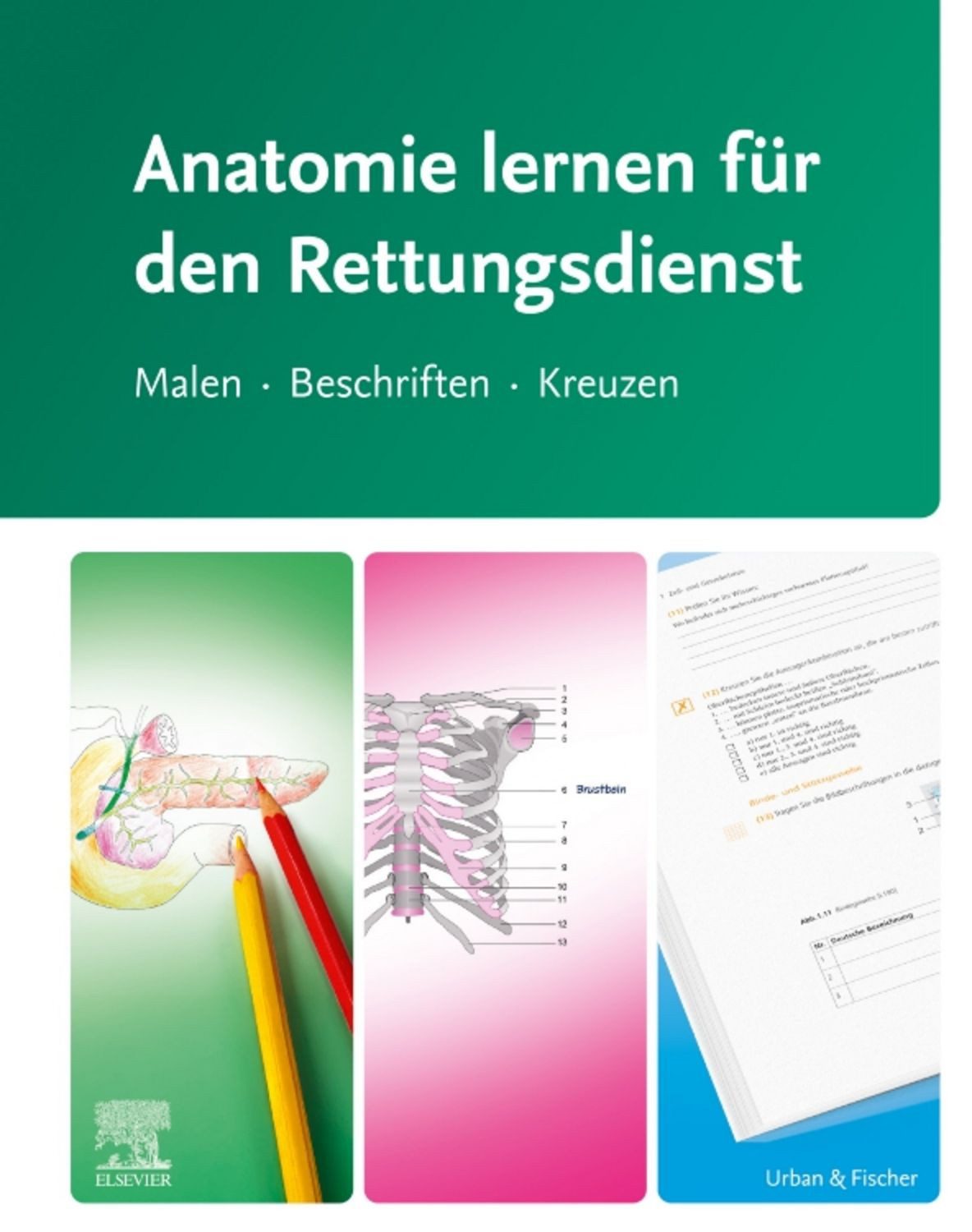 Anatomie lernen für den Rettungsdienst / diverse