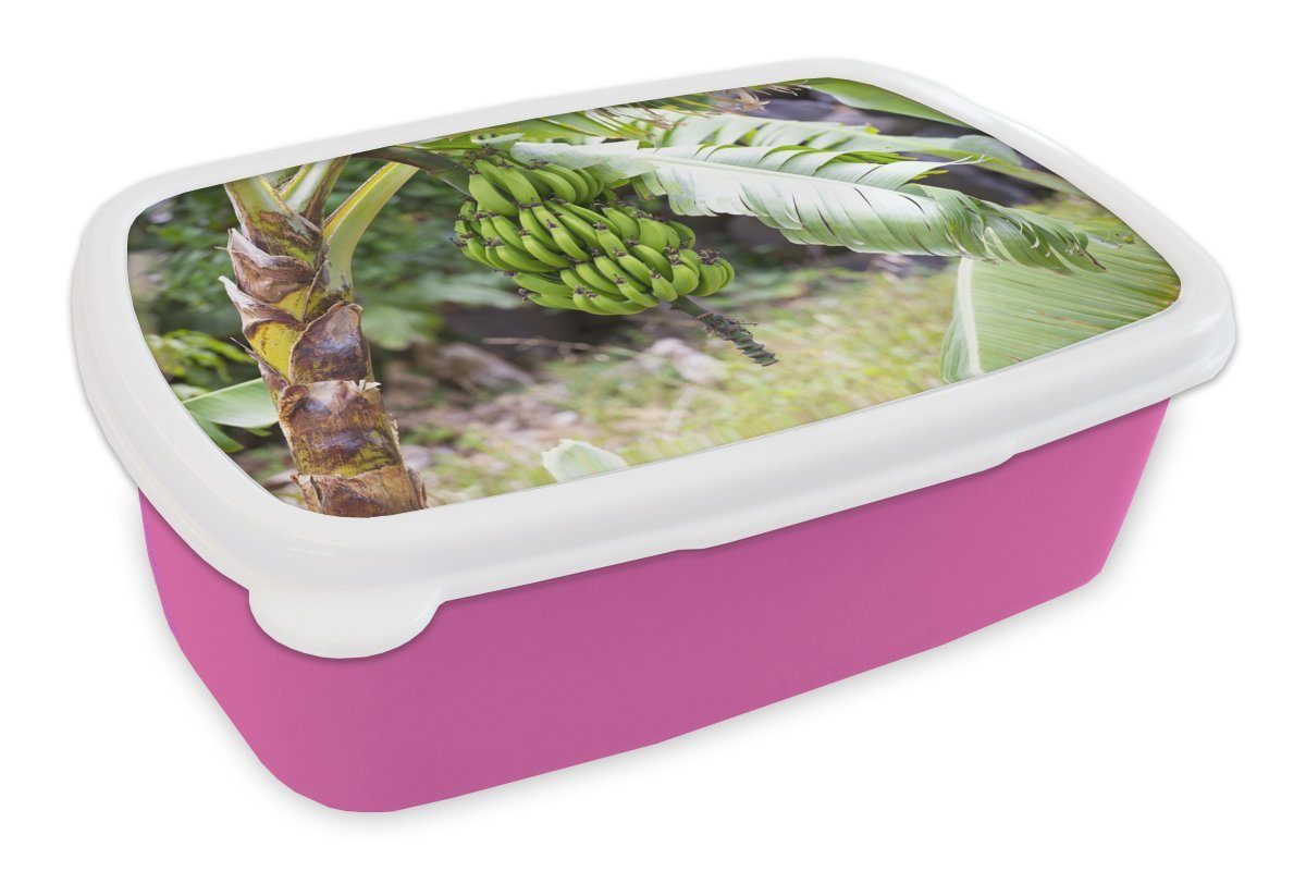 MuchoWow Lunchbox Banane - Pflanze - Baum, Kunststoff, (2-tlg), Brotbox für Erwachsene, Brotdose Kinder, Snackbox, Mädchen, Kunststoff rosa