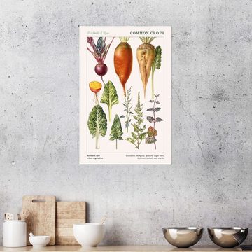 Posterlounge Poster Elizabeth Rice, Rote Beete und anderes Gemüse (englisch), Esszimmer Vintage Illustration