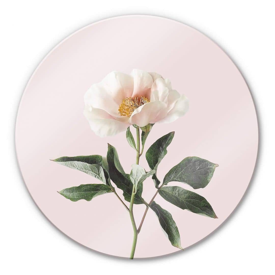 K&L Glas Rund & Glasbild Wandbild Wall Deko Bilder Wandschutz Art Rosa, Zarte Gemälde Blüte Sisi Seb Blume