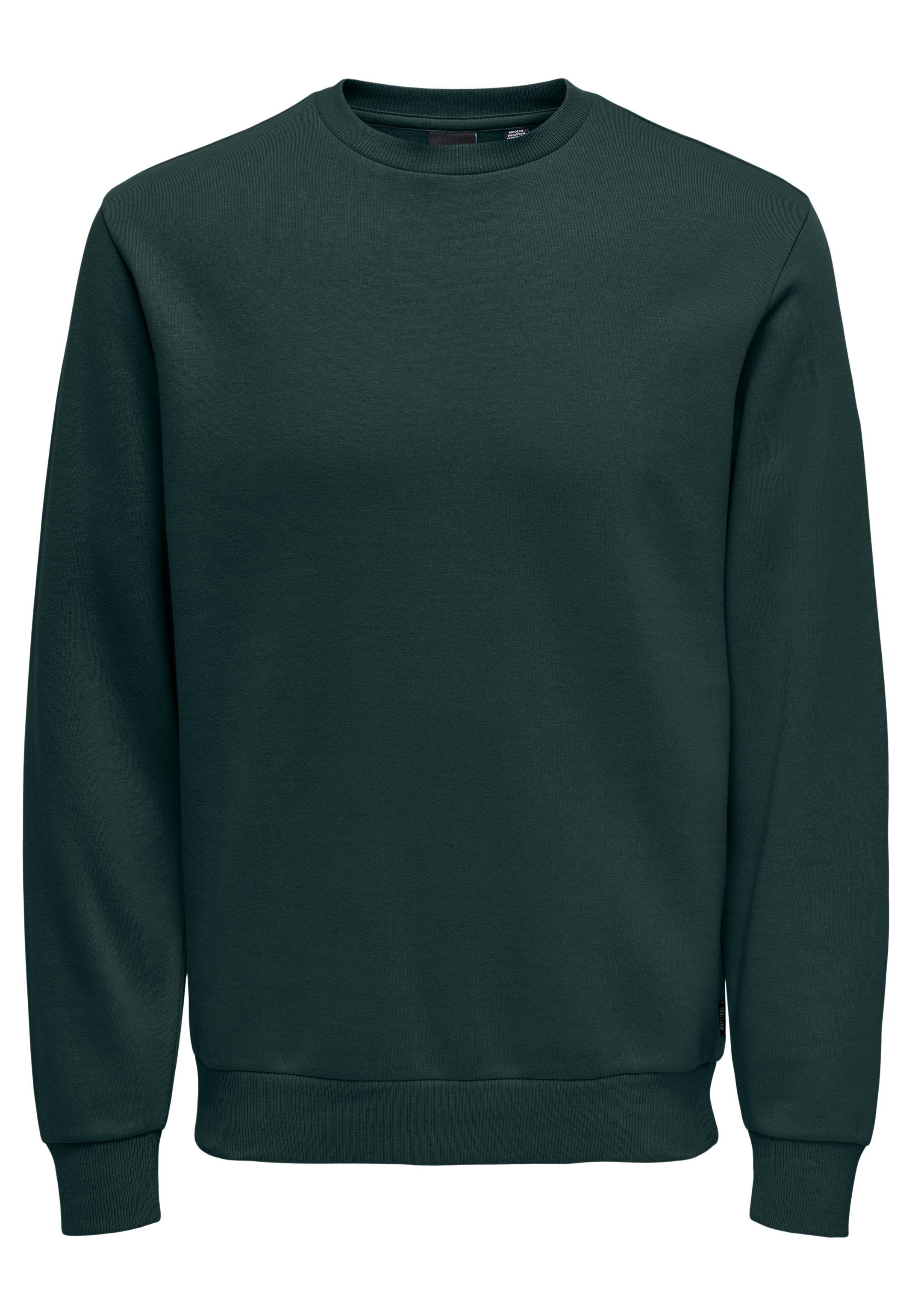 ONLY & SONS Sweatshirt Ceres (1-tlg) günstig online kaufen
