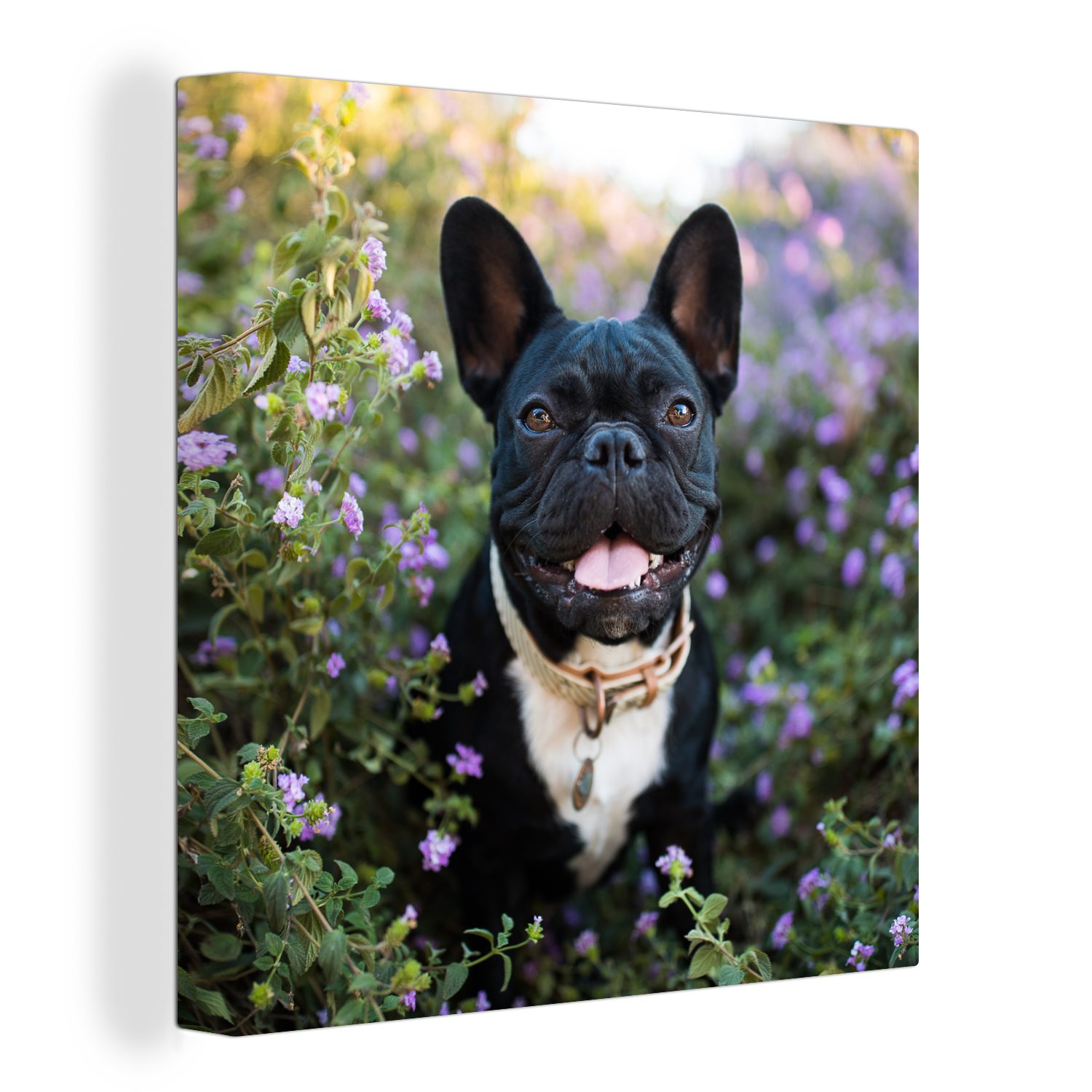 OneMillionCanvasses® Leinwandbild Französische Bulldogge - Blumen - Lila, (1 St), Leinwand Bilder für Wohnzimmer Schlafzimmer