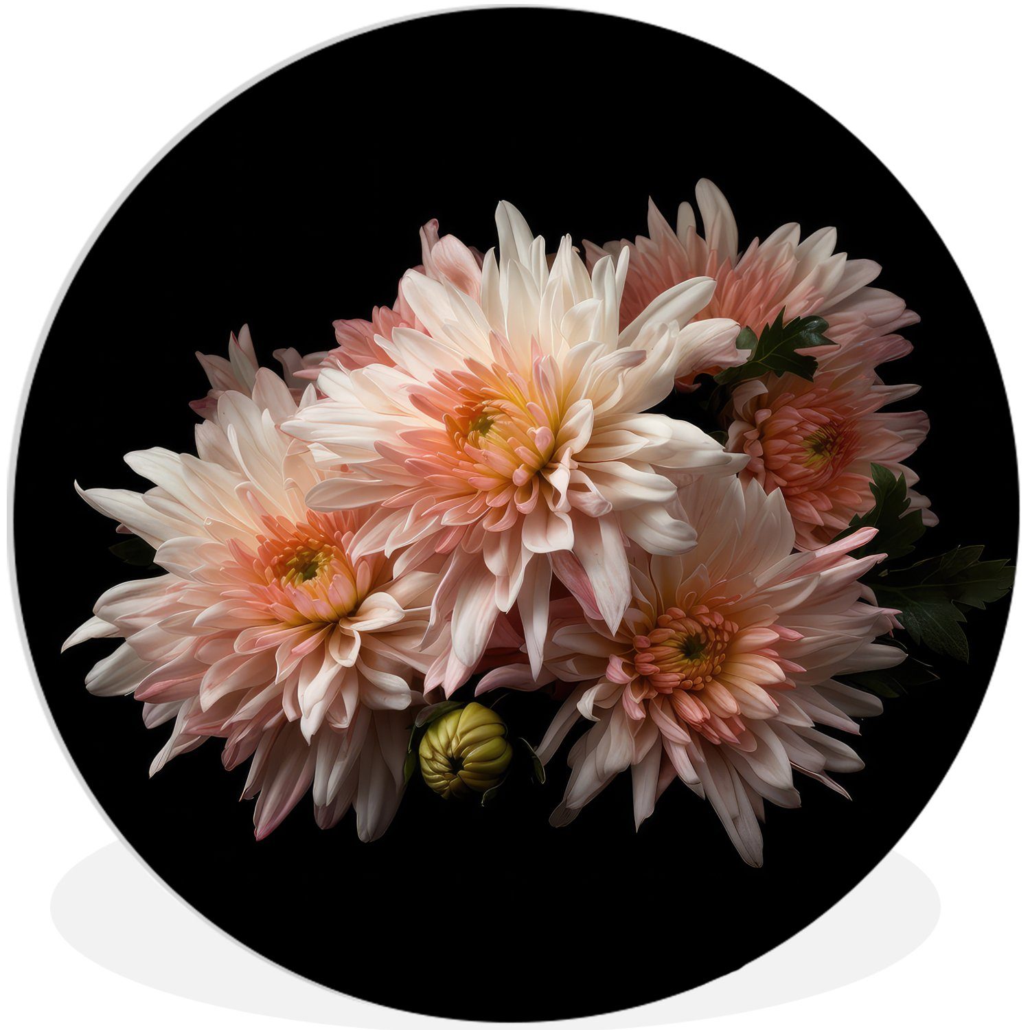 St), (1 Kreis Natur - - cm Weiß Chrysantheme Rundes Wandbild, Schwarz, Forex, Wanddekoration MuchoWow Gemälde - Wohnzimmer, Blumen - 30x30