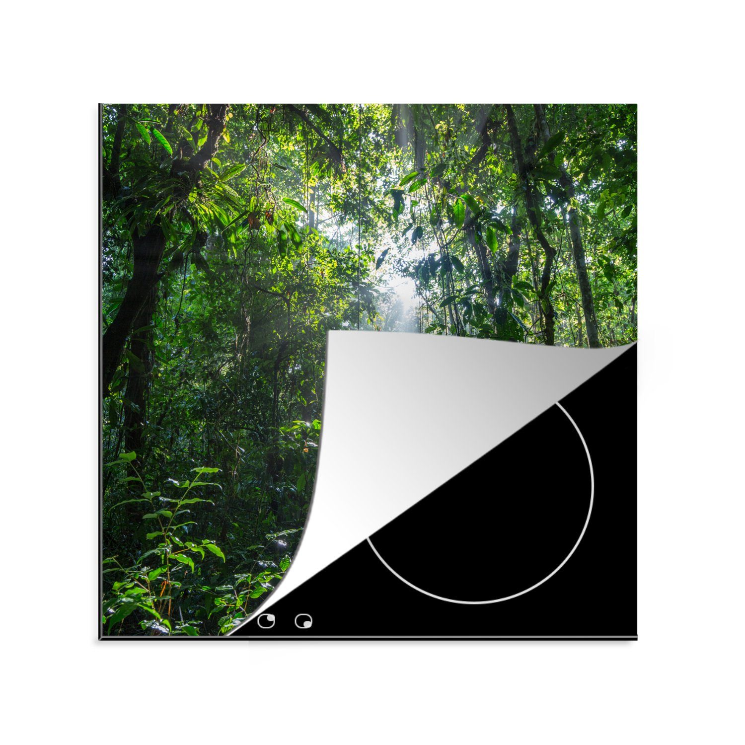 MuchoWow Herdblende-/Abdeckplatte Die Sonne bricht durch die Bäume des Dschungels im, Vinyl, (1 tlg), 78x78 cm, Ceranfeldabdeckung, Arbeitsplatte für küche