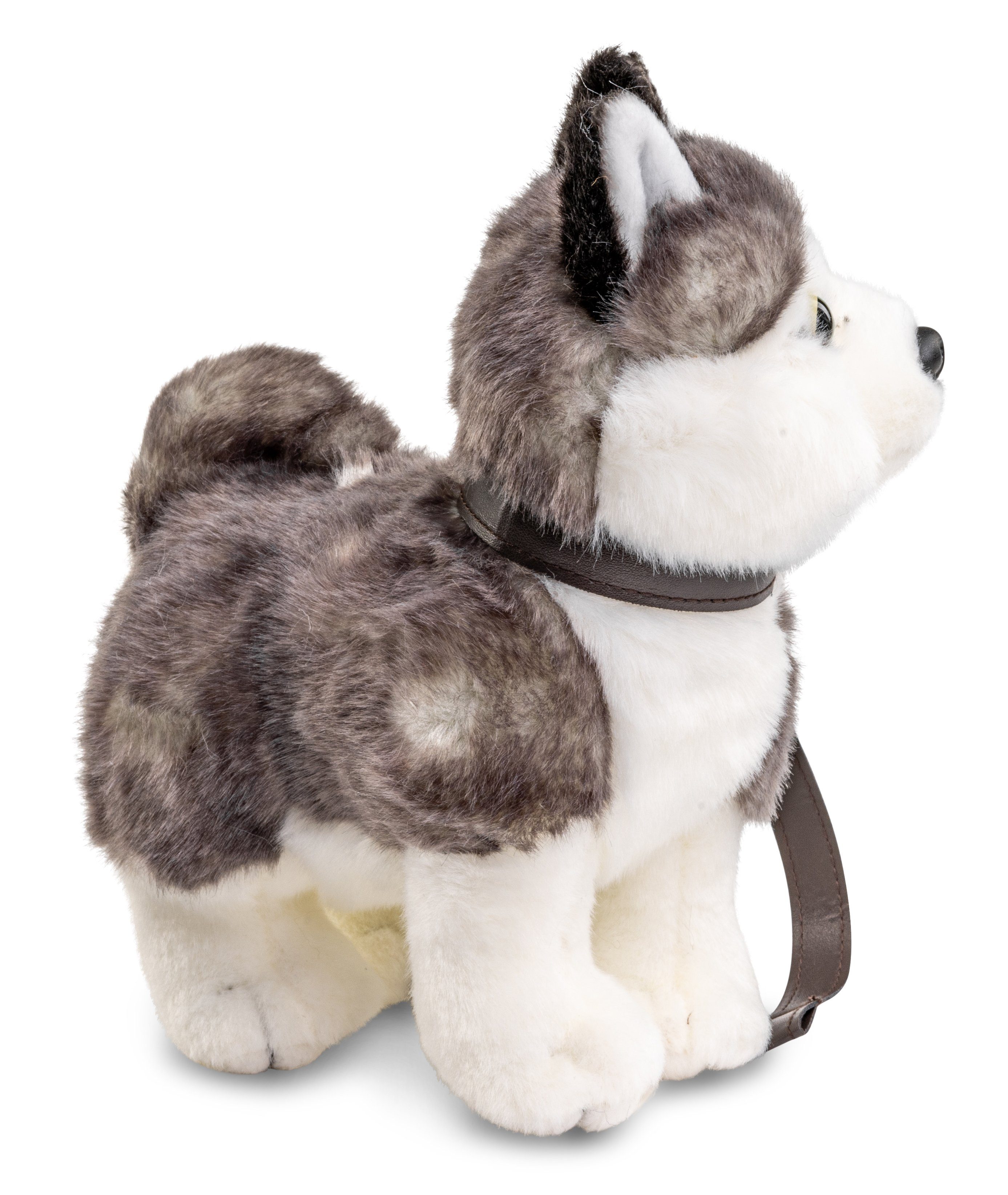 Uni-Toys Kuscheltier Husky Welpe grau, stehend (m. Leine) - 24 cm - Plüsch-Hund, Plüschtier, zu 100 % recyceltes Füllmaterial