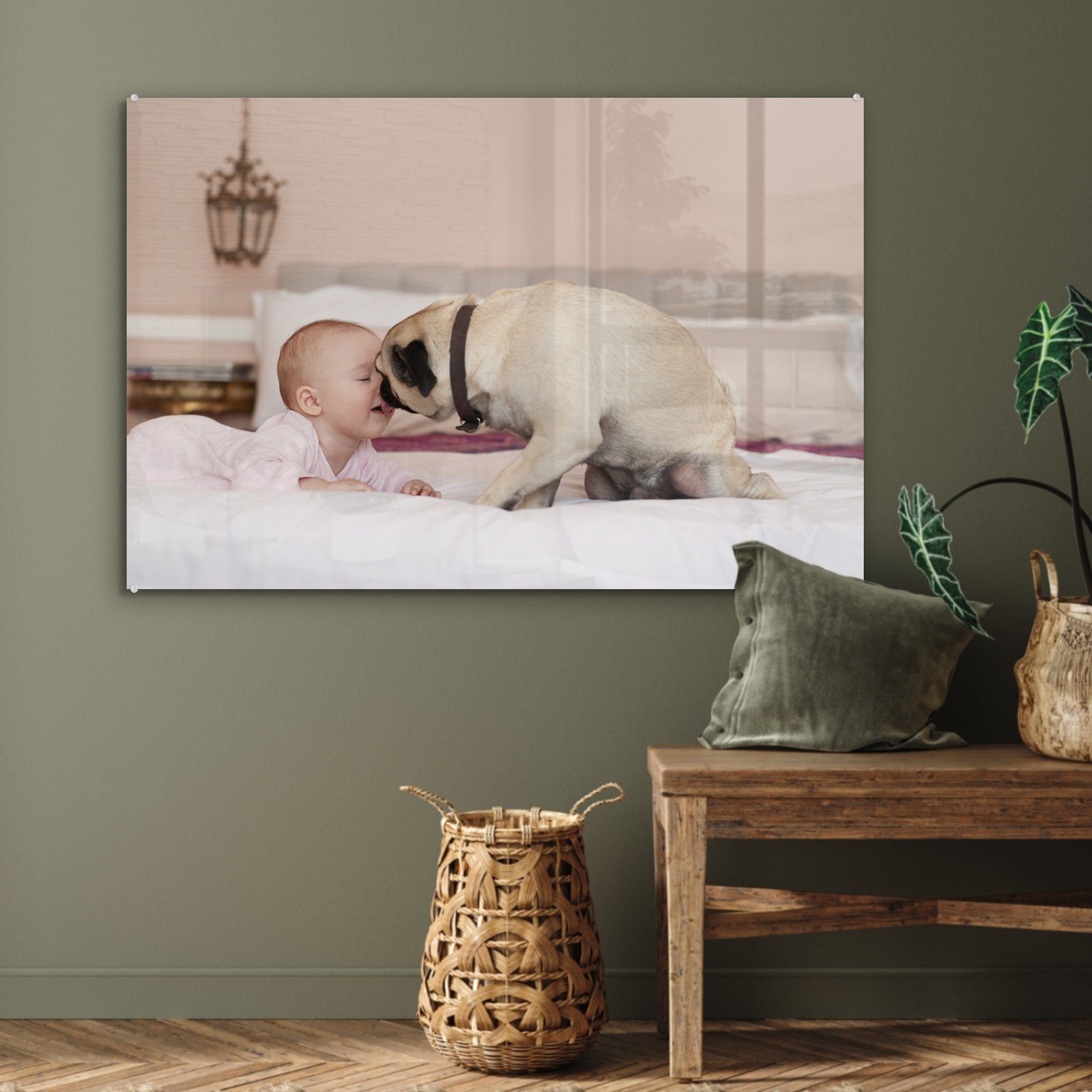 (1 leckt Wohnzimmer Acrylglasbilder & mit Baby Schlafzimmer Hund Acrylglasbild Gesicht, St), MuchoWow