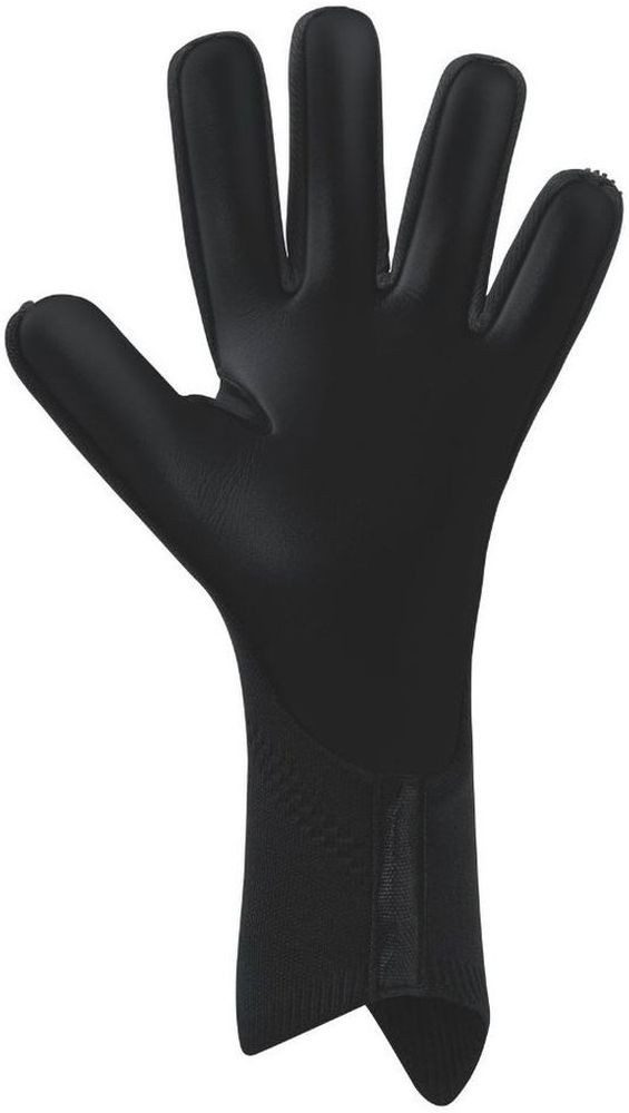 Erima Torwarthandschuhe Aeroclaw Legend günstig online kaufen