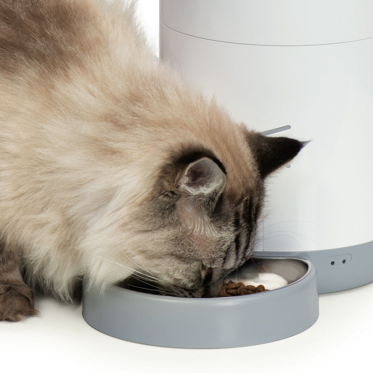 Catit Katzen-Futterautomat Pixi Smart Futterautomat