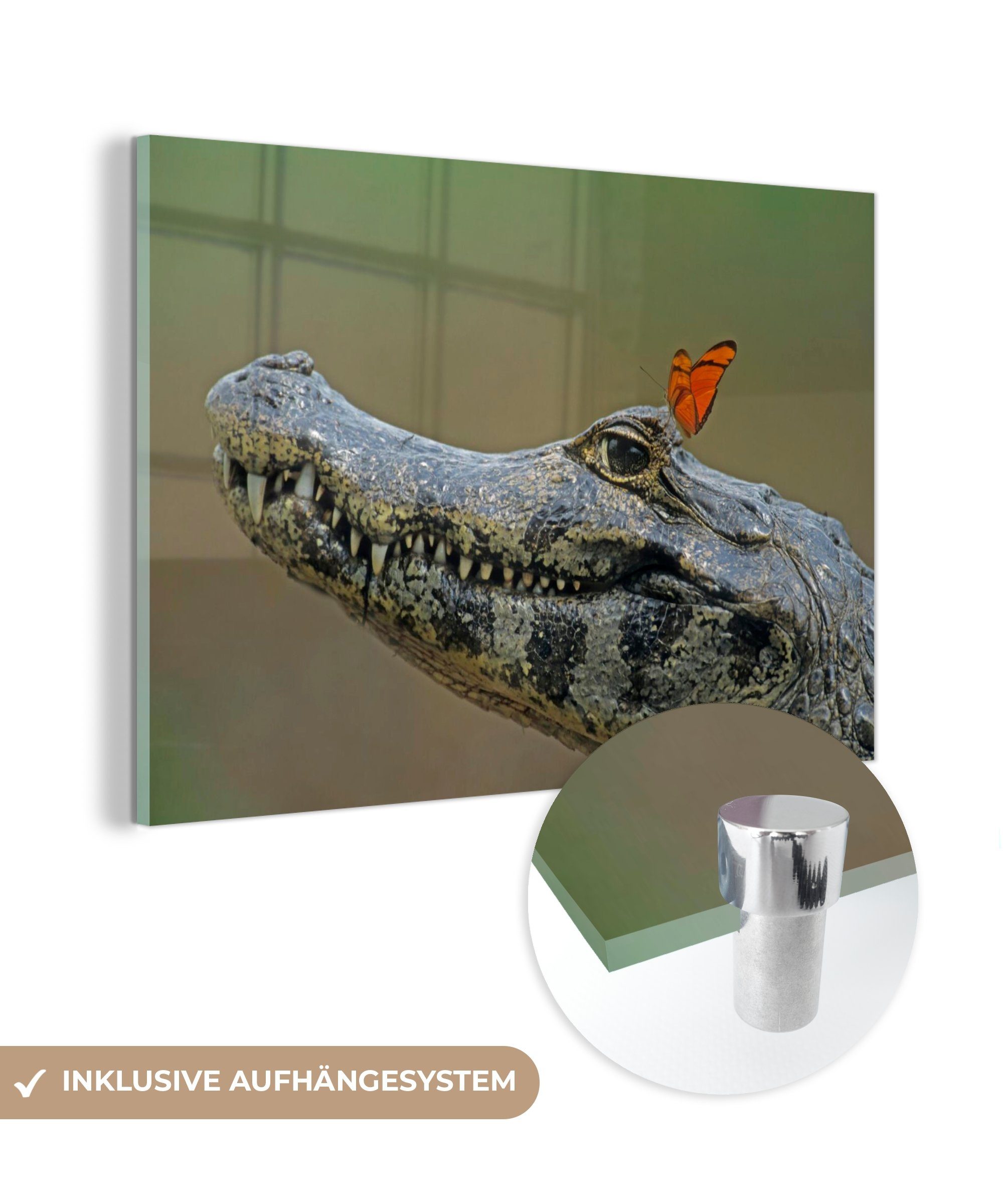 MuchoWow Acrylglasbild Krokodil - Schmetterling - Zähne, (1 St), Acrylglasbilder Wohnzimmer & Schlafzimmer