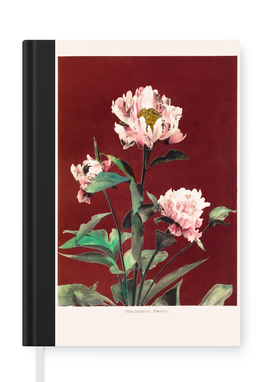 MuchoWow Notizbuch Blumen - Pflanzen - Farben - Rot - Vintage, Journal, Merkzettel, Tagebuch, Notizheft, A5, 98 Seiten, Haushaltsbuch