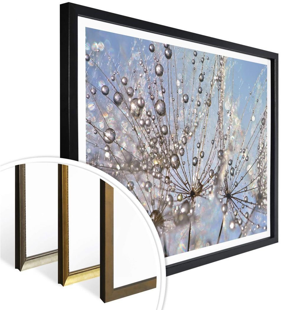 Wall-Art Poster (1 St) Pusteblume, Blumen Wassertropfen