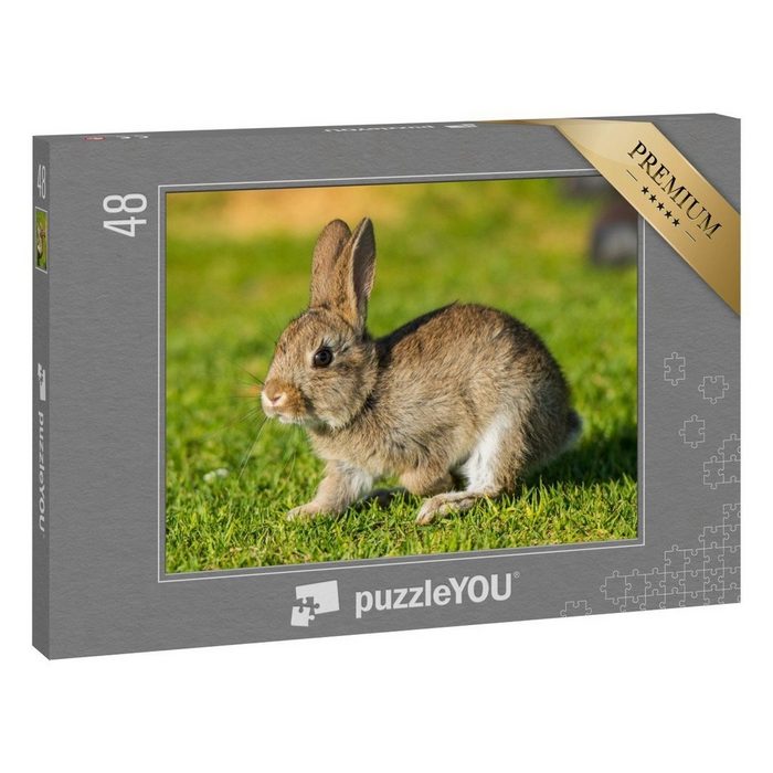puzzleYOU Puzzle Kaninchen Hase 48 Puzzleteile puzzleYOU-Kollektionen Hasen Tiere in Wald & Gebirge